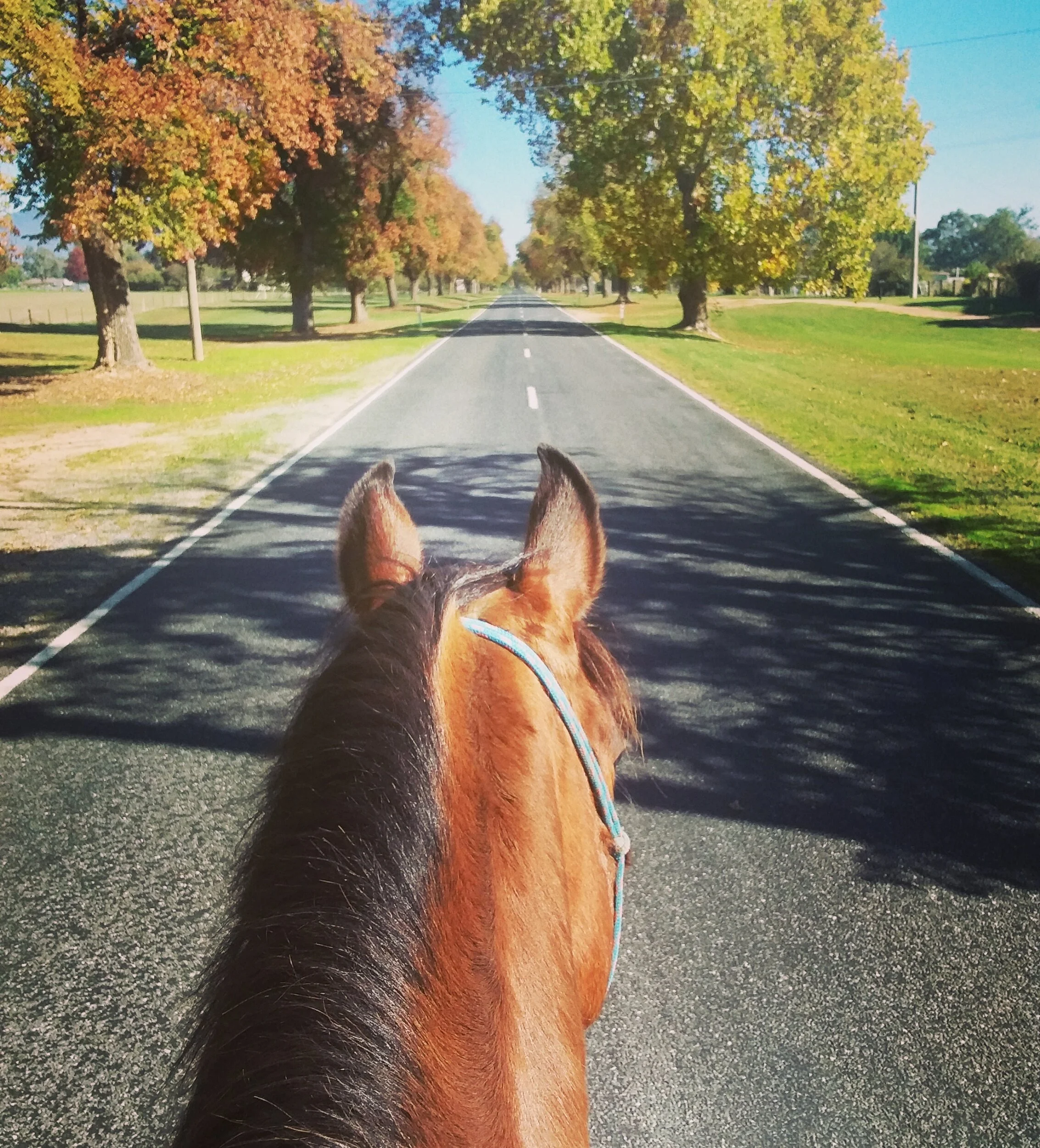 The Weekly Wrap-Up 4