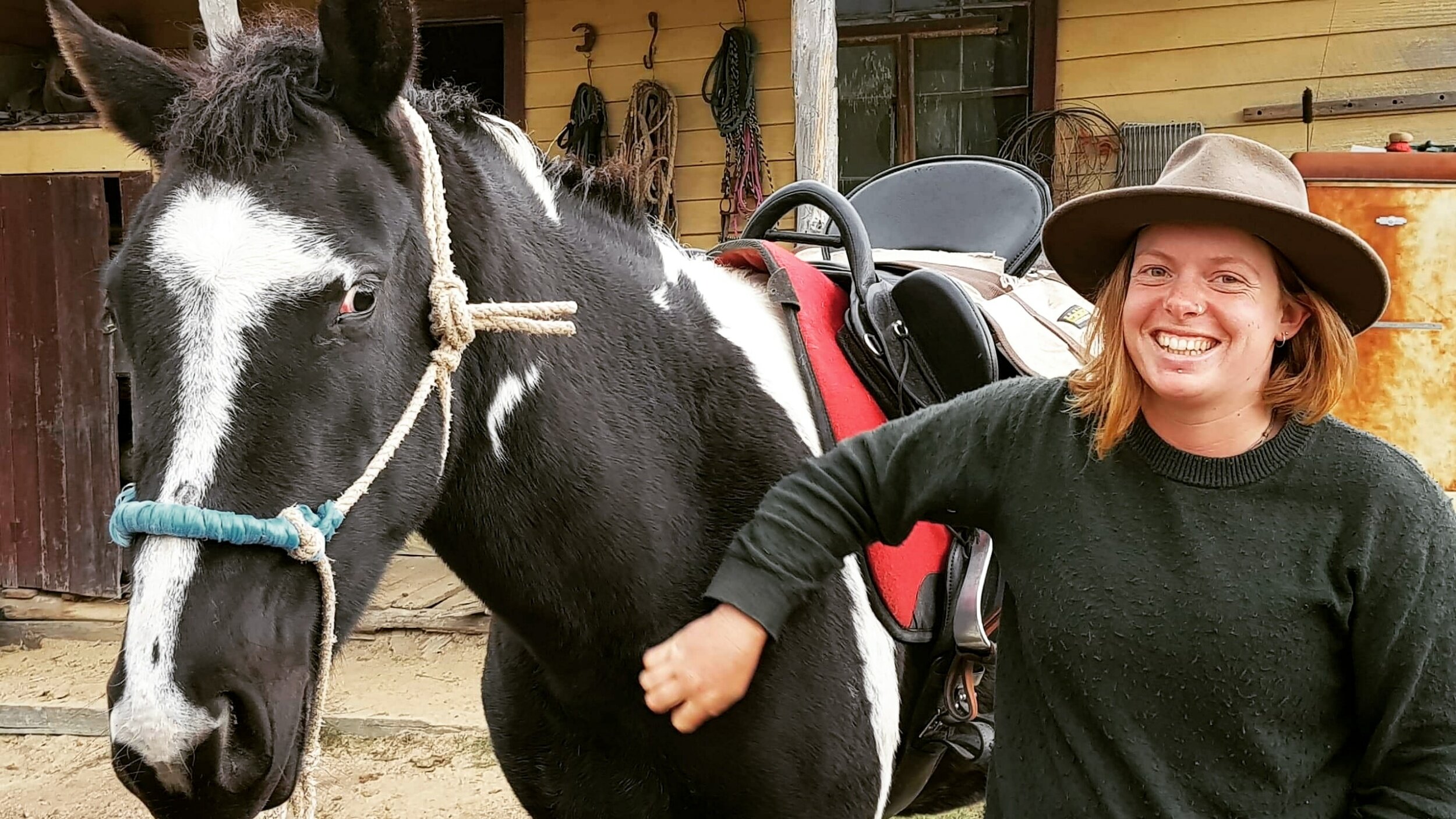 The Weekly Wrap-Up 2