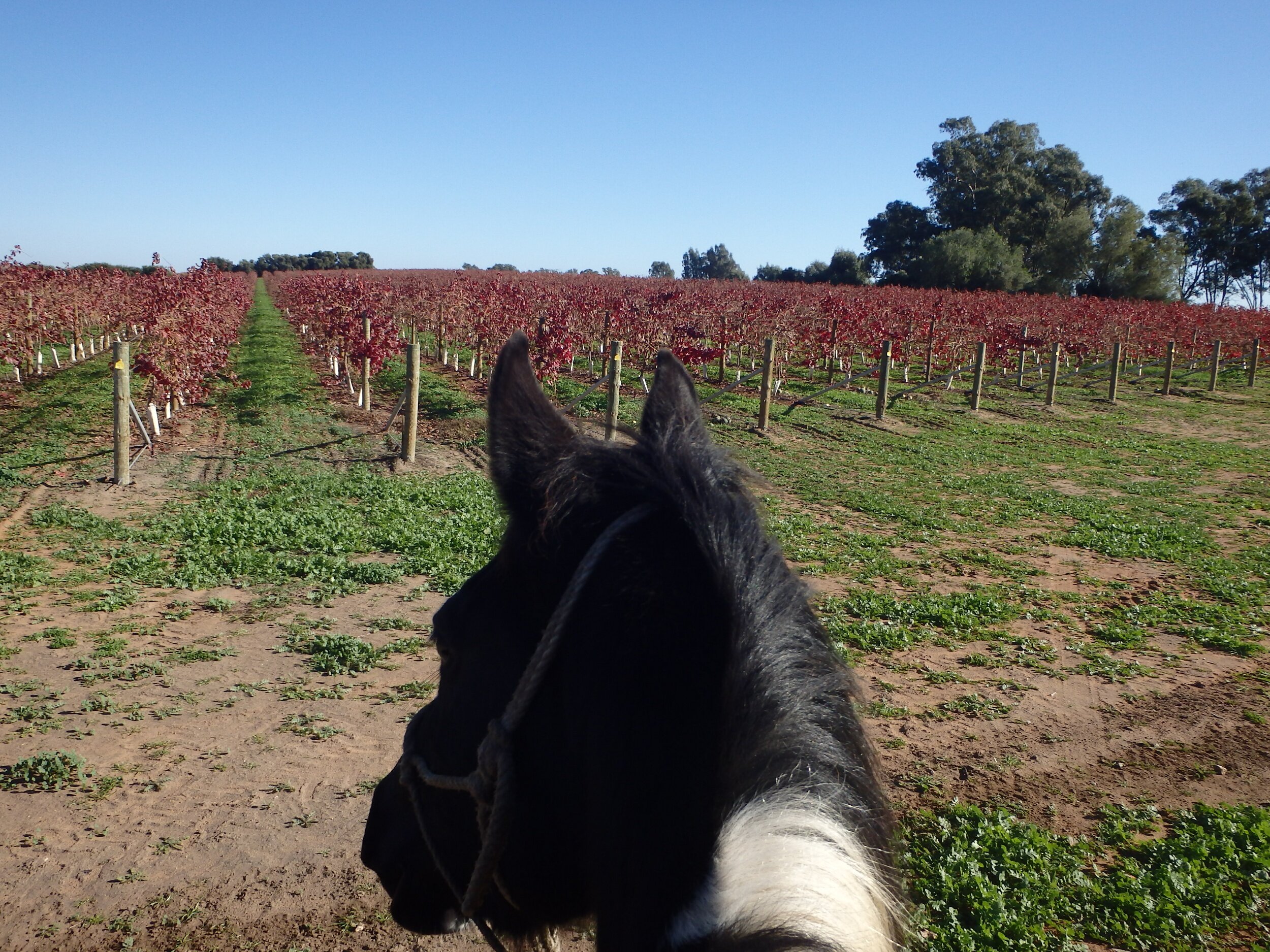 The Weekly Wrap-Up 7