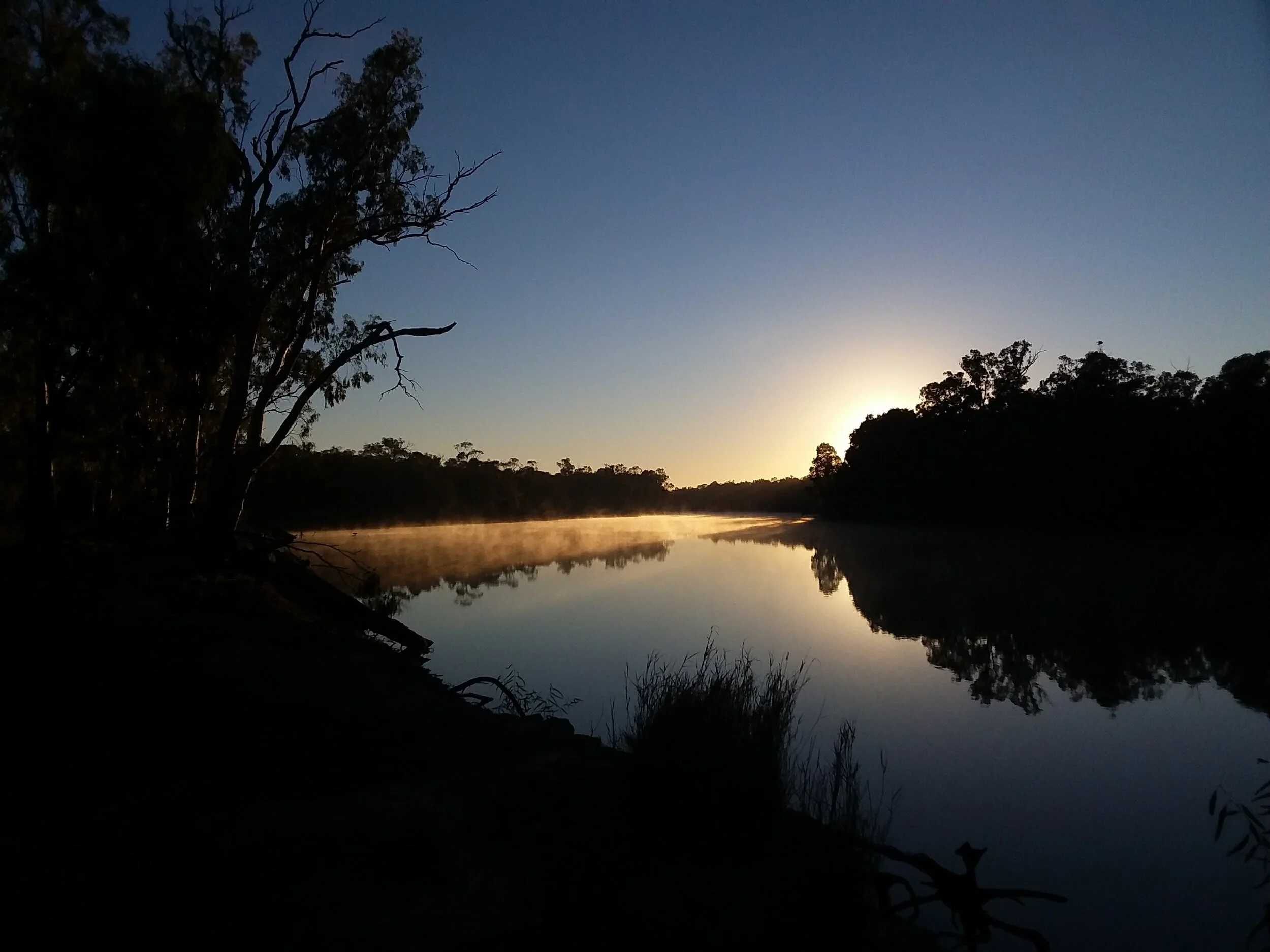 The Weekly Wrap-Up 8