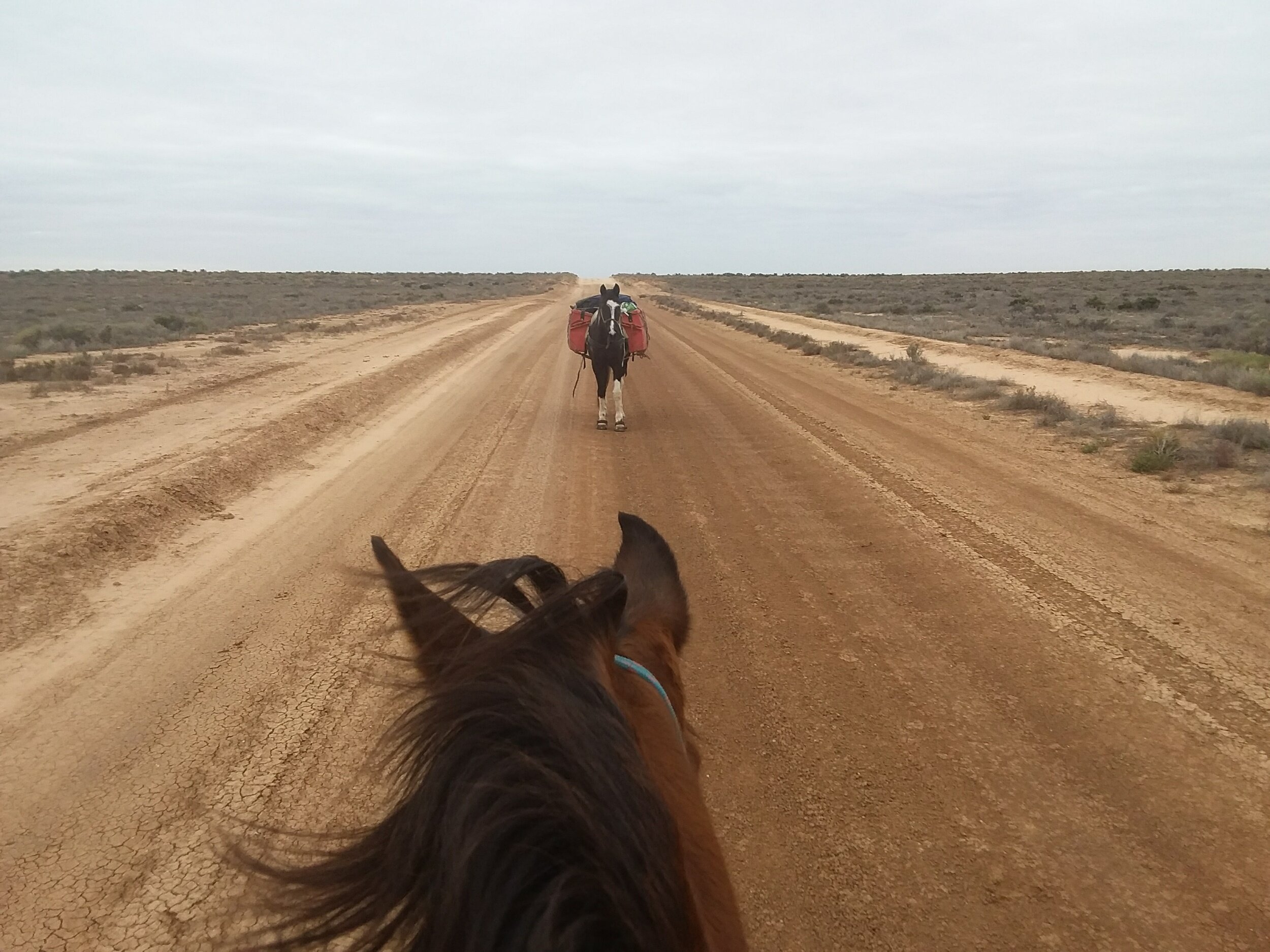 The Weekly Wrap-Up 9