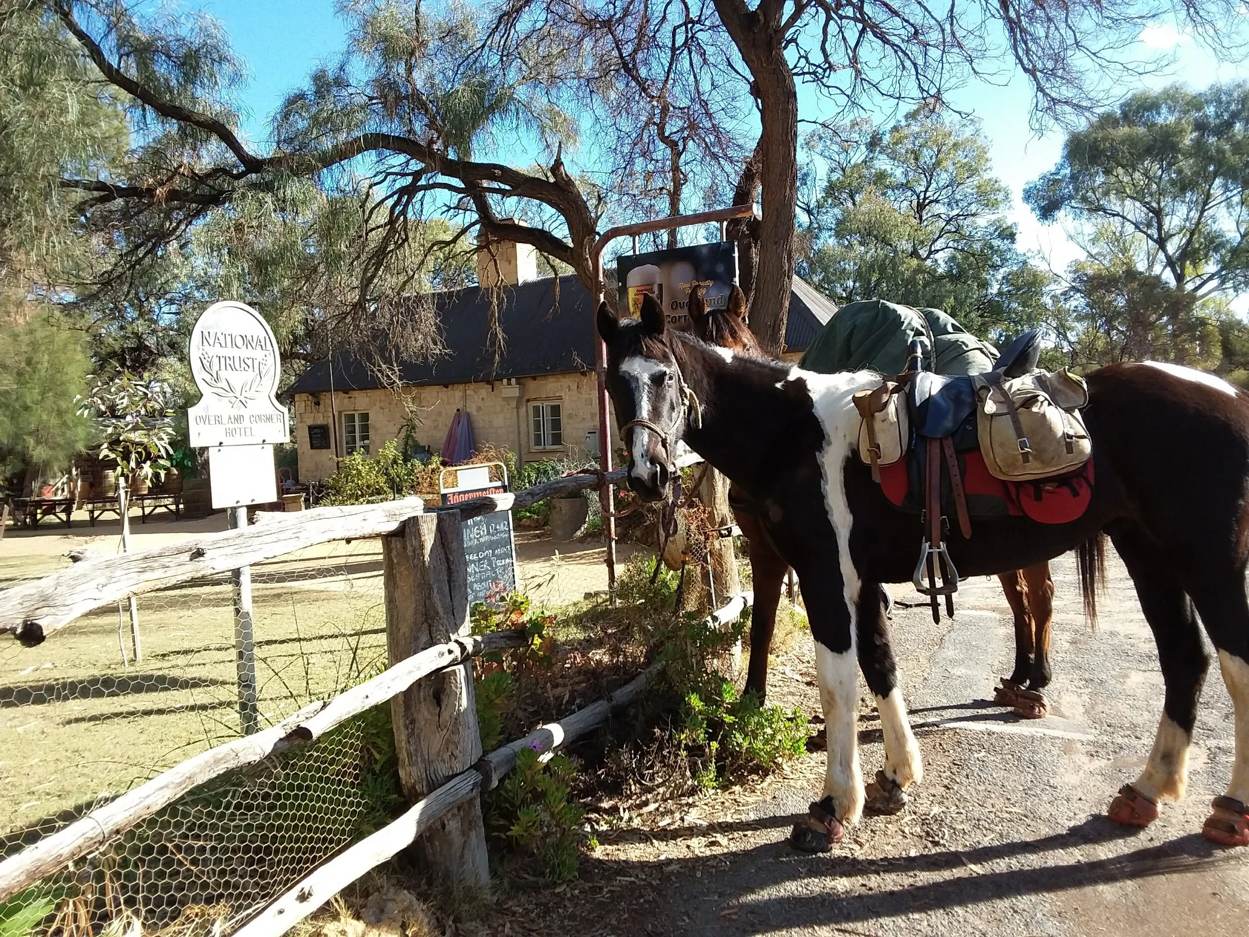 The Weekly Wrap-Up 10