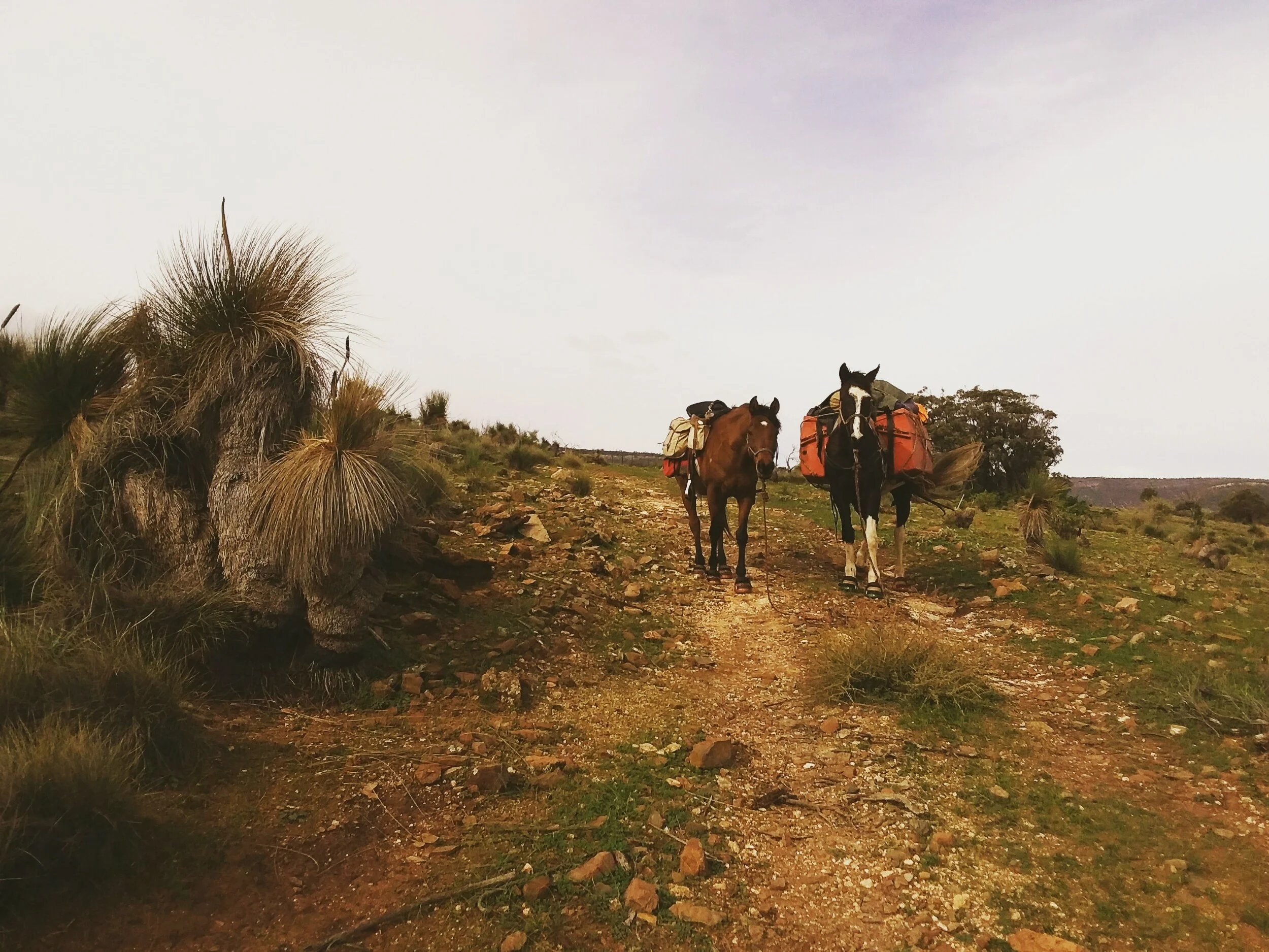 The Weekly Wrap-Up 12