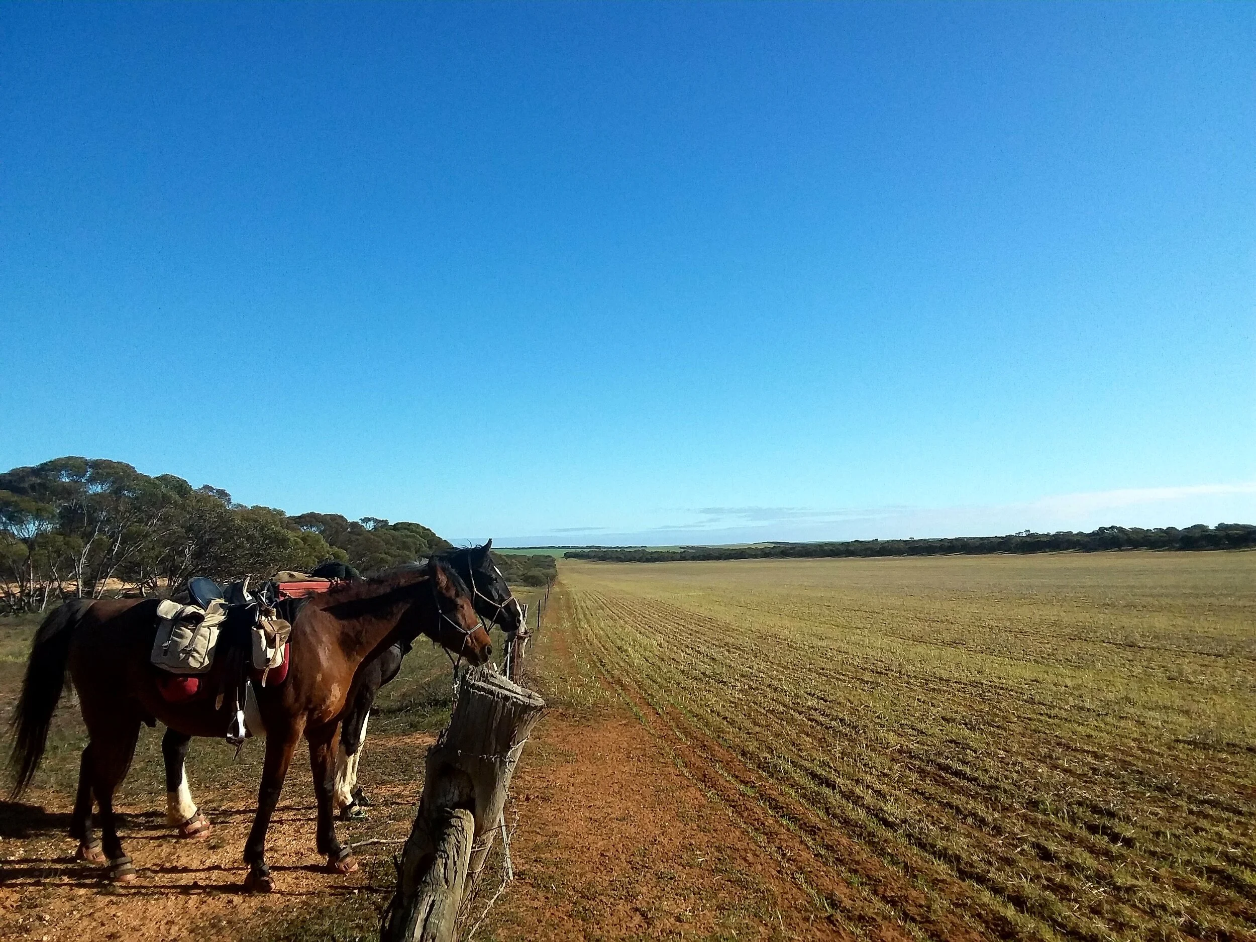 The Weekly Wrap-Up 15