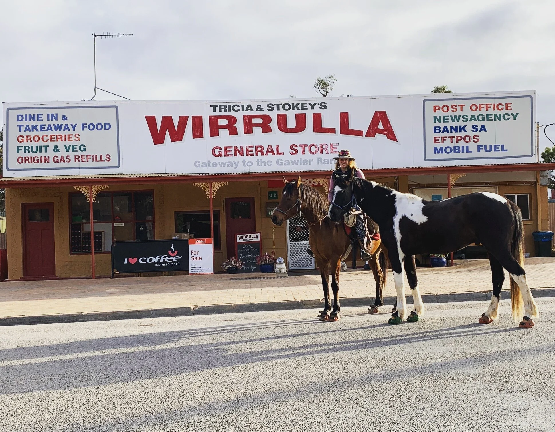 The Weekly Wrap-Up 16