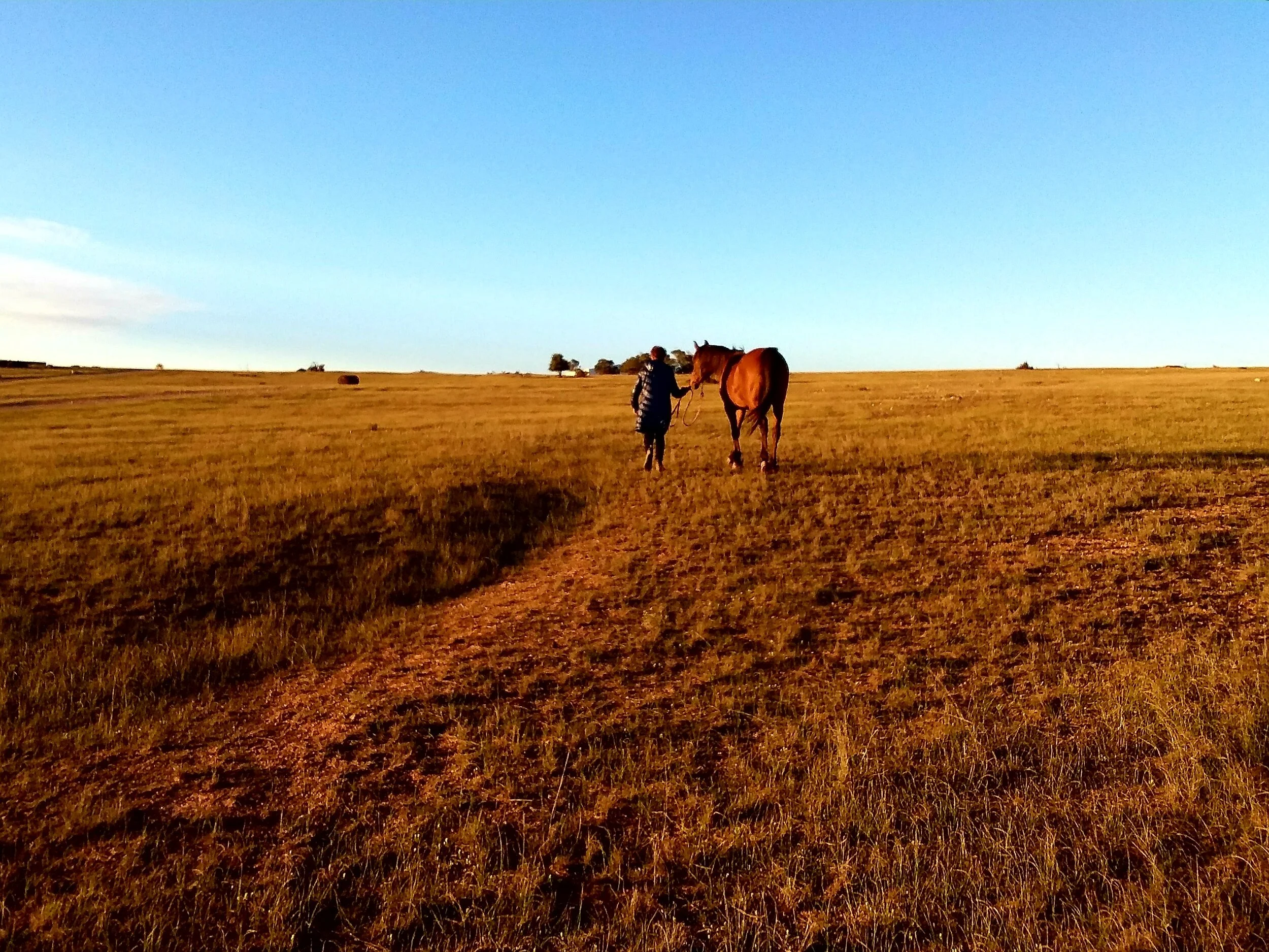 The Weekly Wrap-Up 17