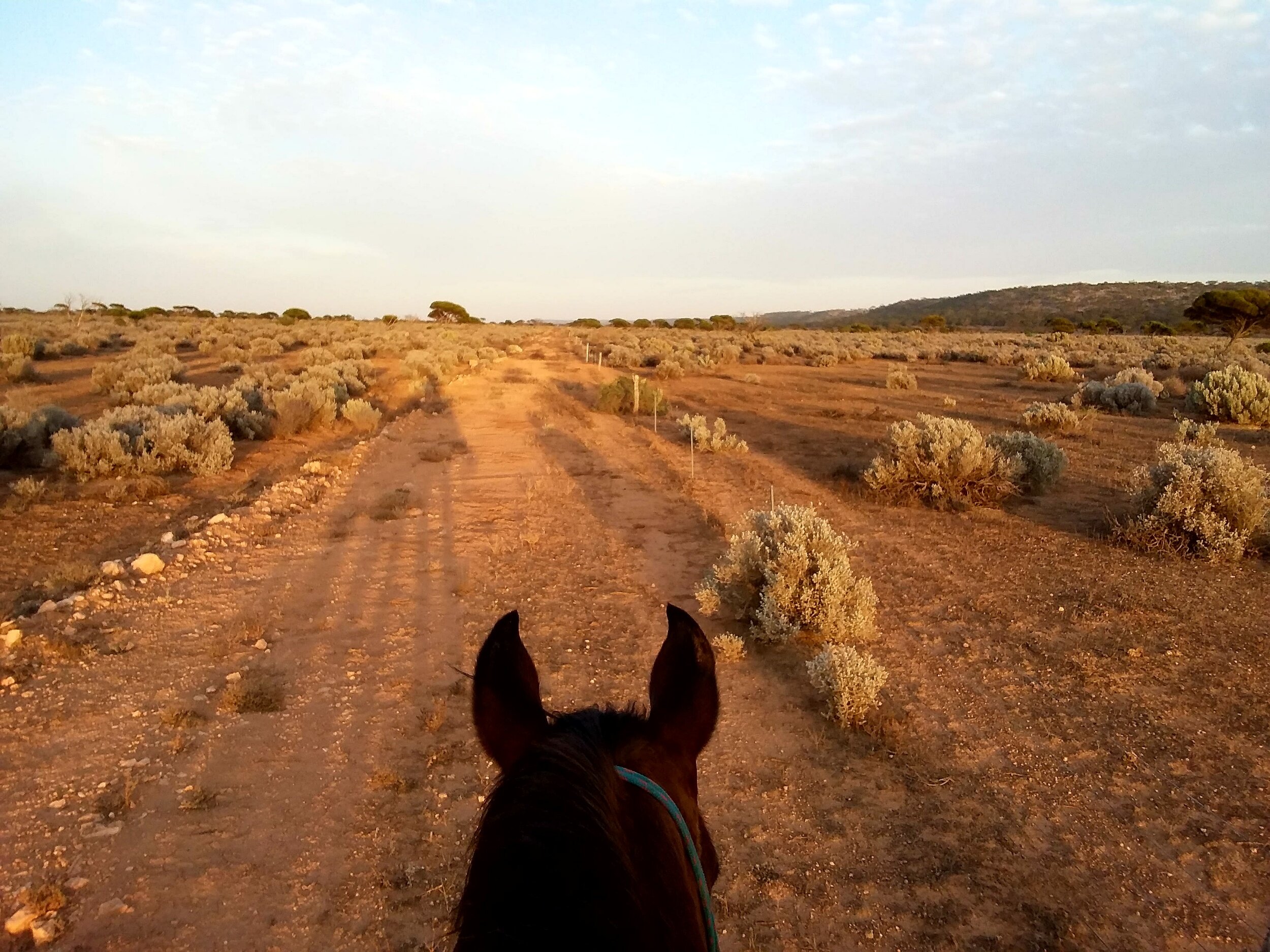 The Weekly Wrap-Up 19