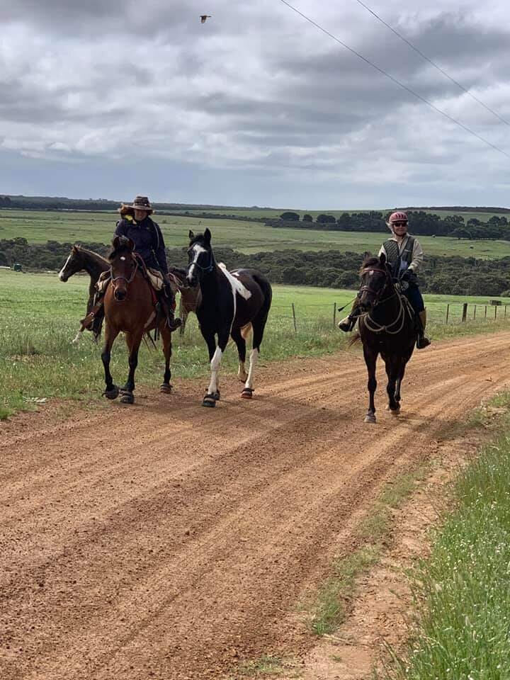 The Weekly Wrap-Up 21