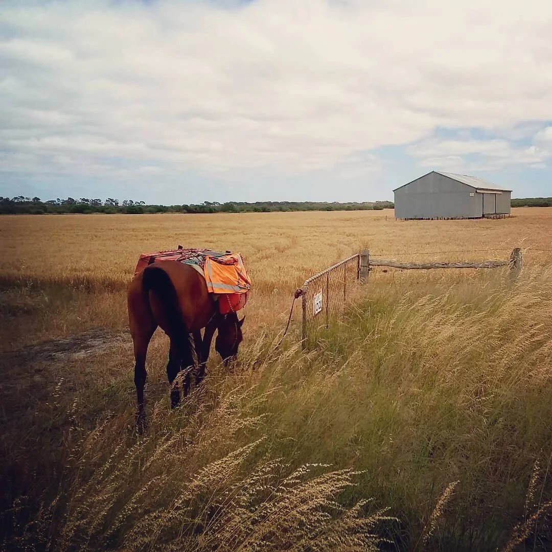 The Weekly Wrap-Up 22