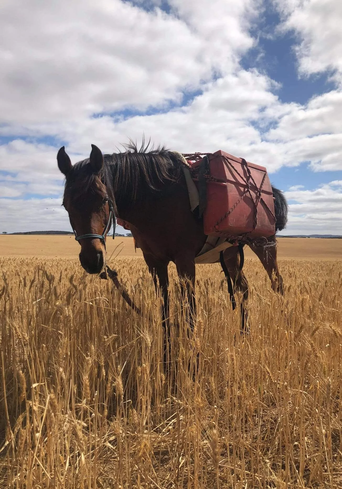 The Weekly Wrap-Up 23