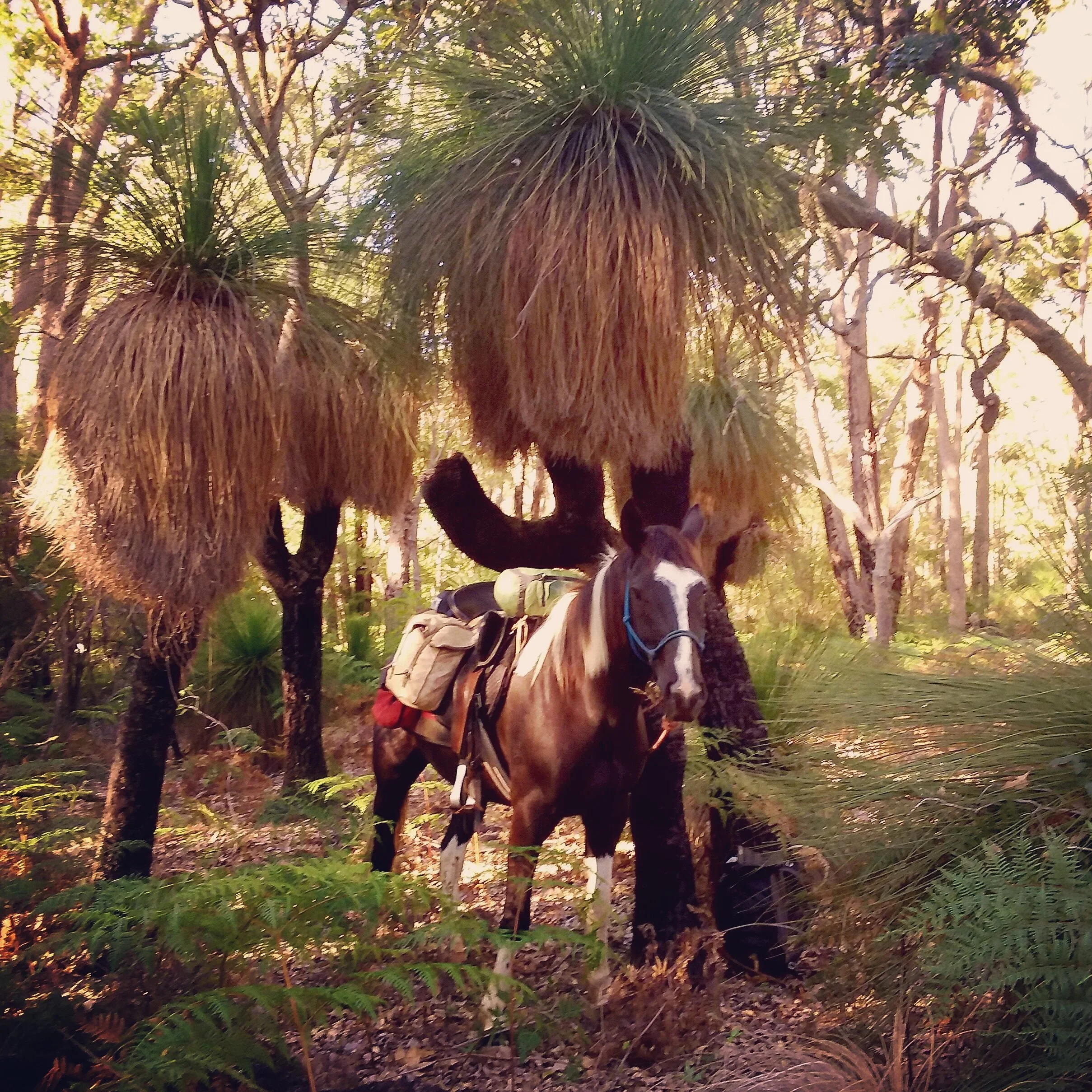 The Weekly Wrap-Up 25