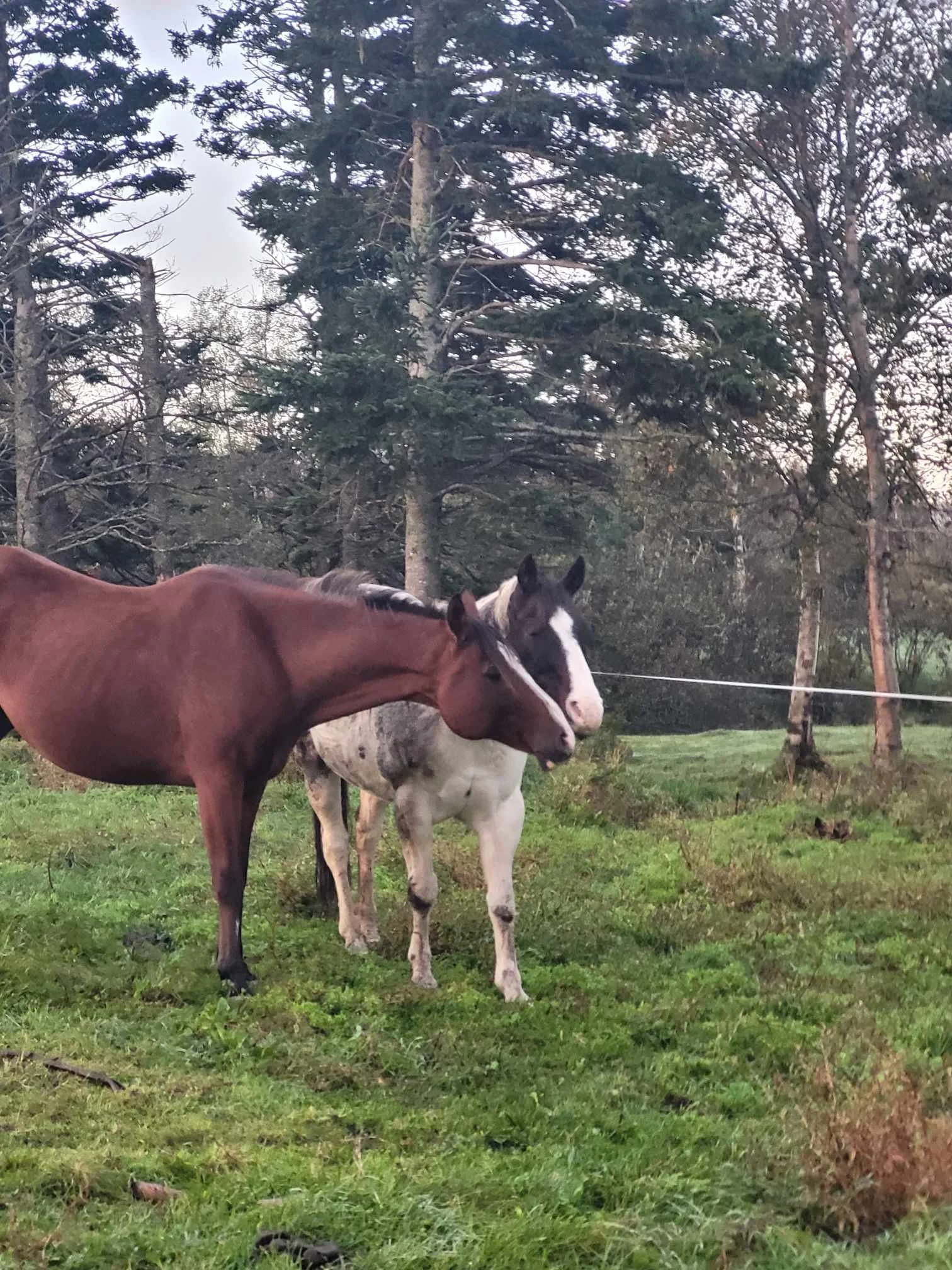 Canada just got real
