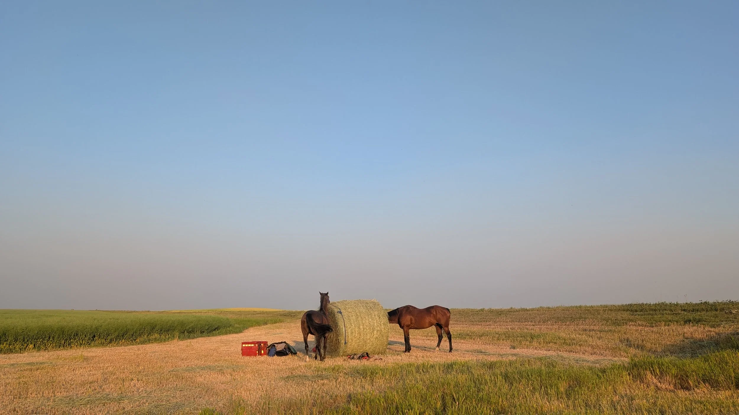 Silver Sage and Smoke Haze: Consul to Pincher Creek, 1362-1790km, Days 65-81