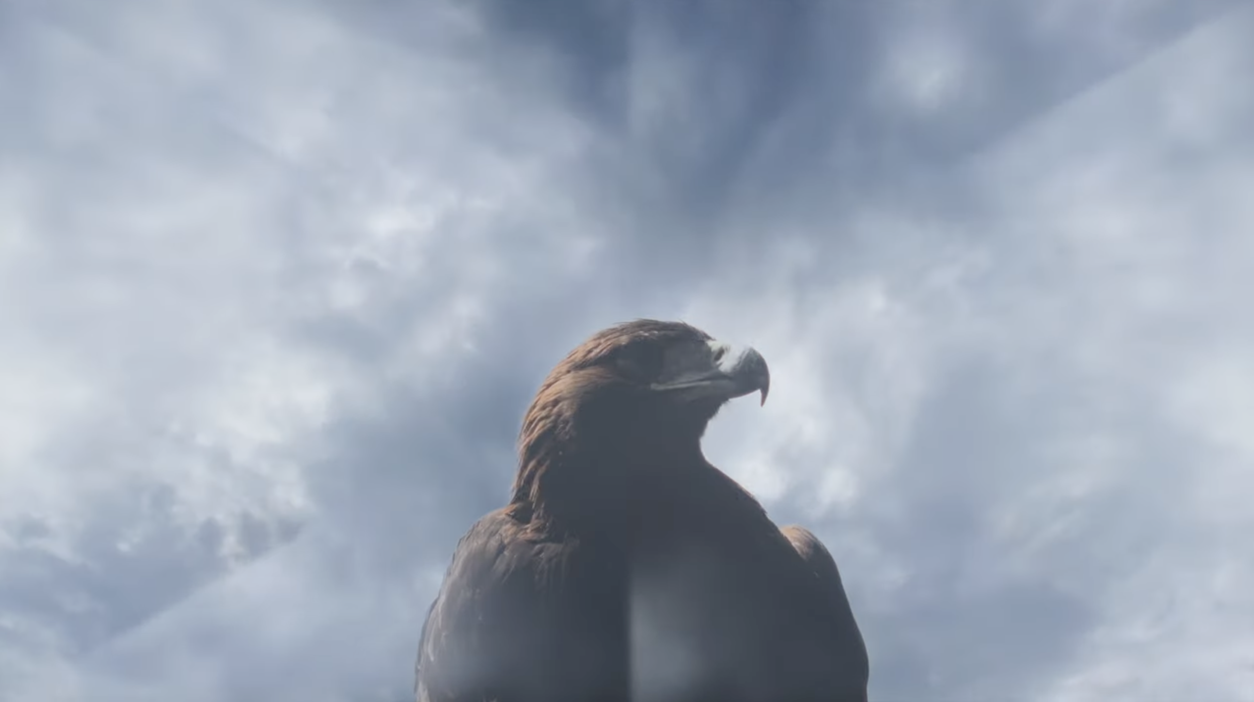 Screenshot 2026-03-09 at 00.19.32.png