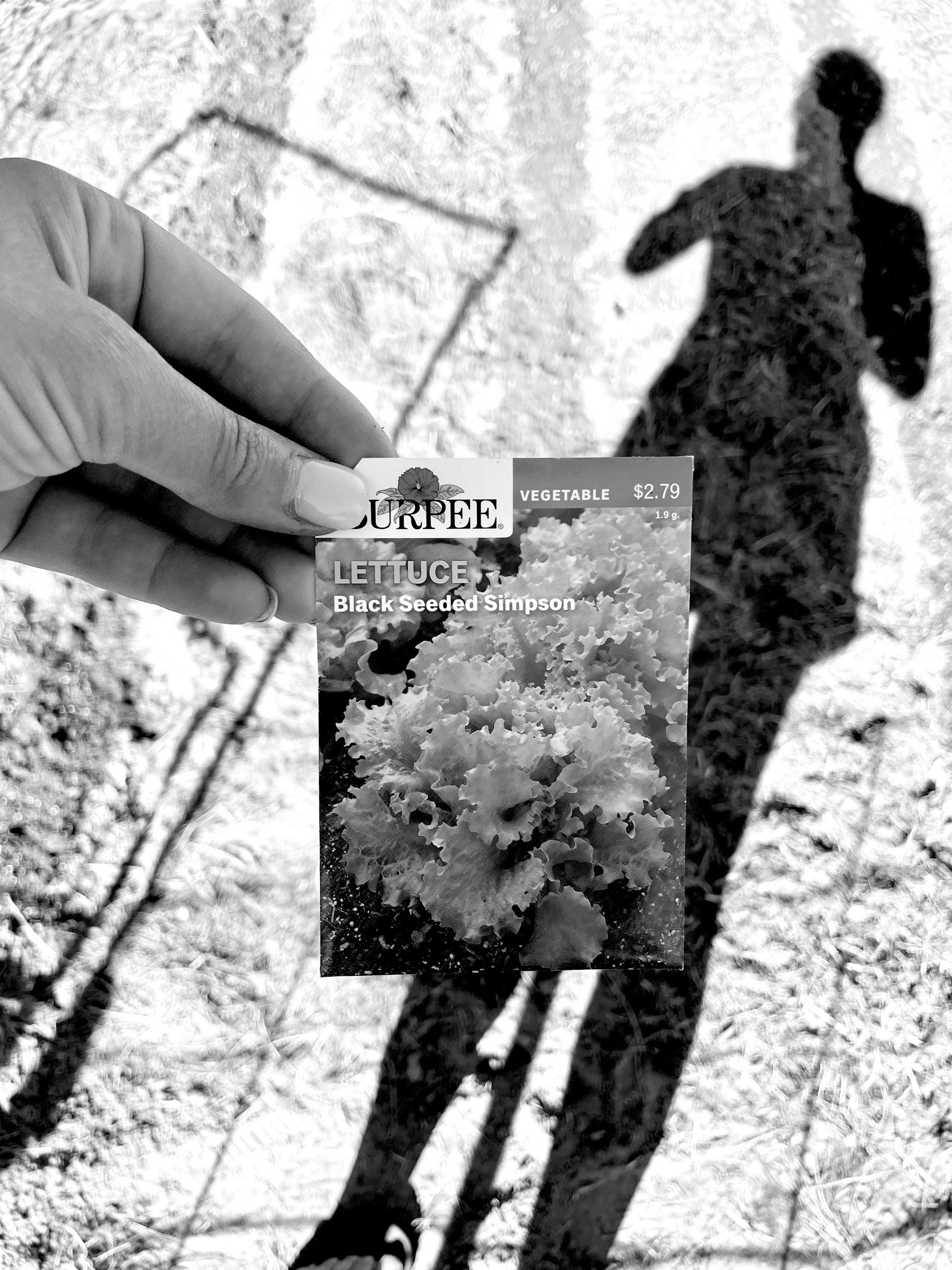 IMG_3913.jpeg