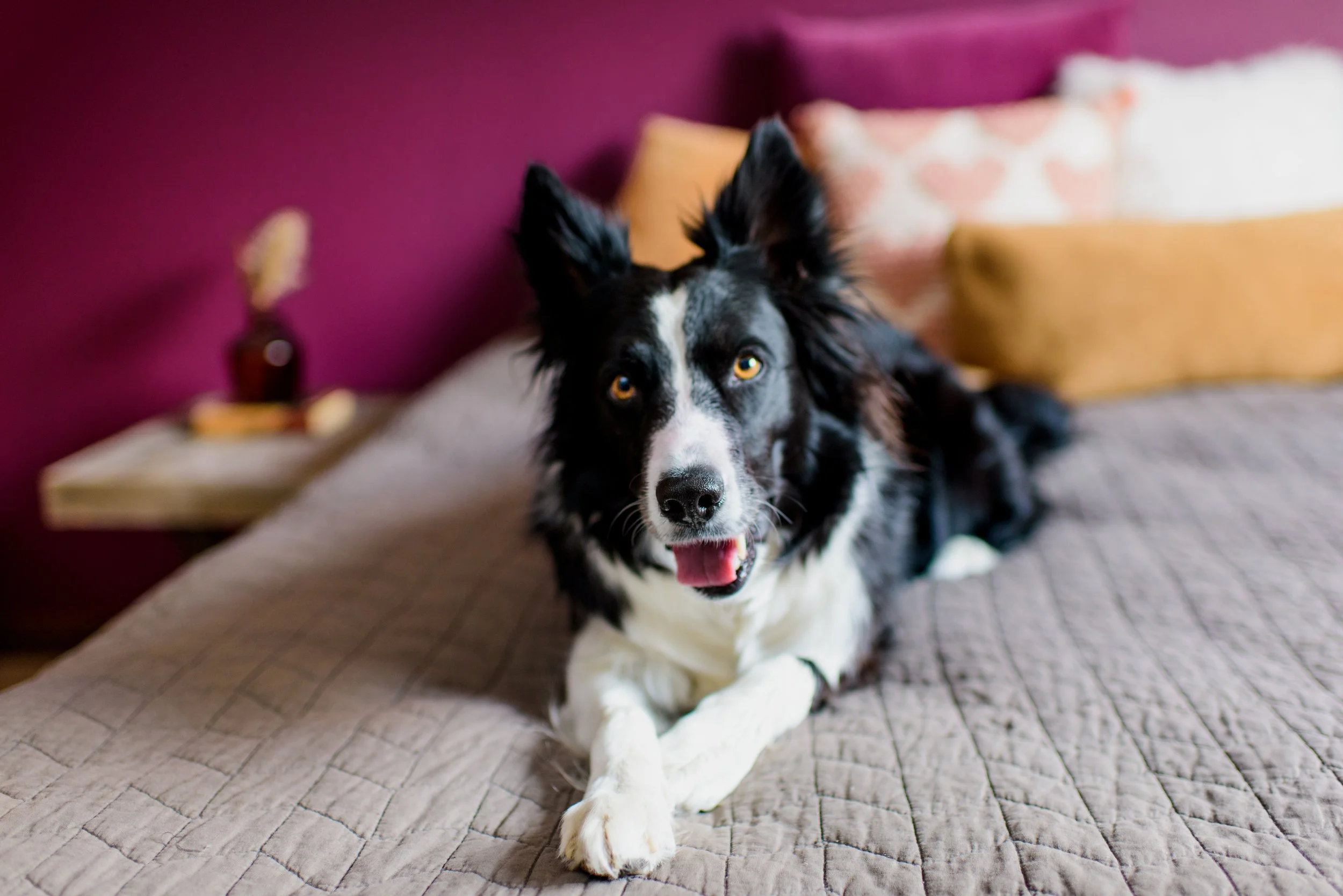 Project Grey - Valentines Day