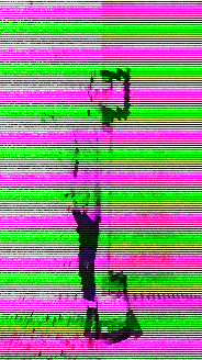 moshed_2017-1-16_2.23.11.gif