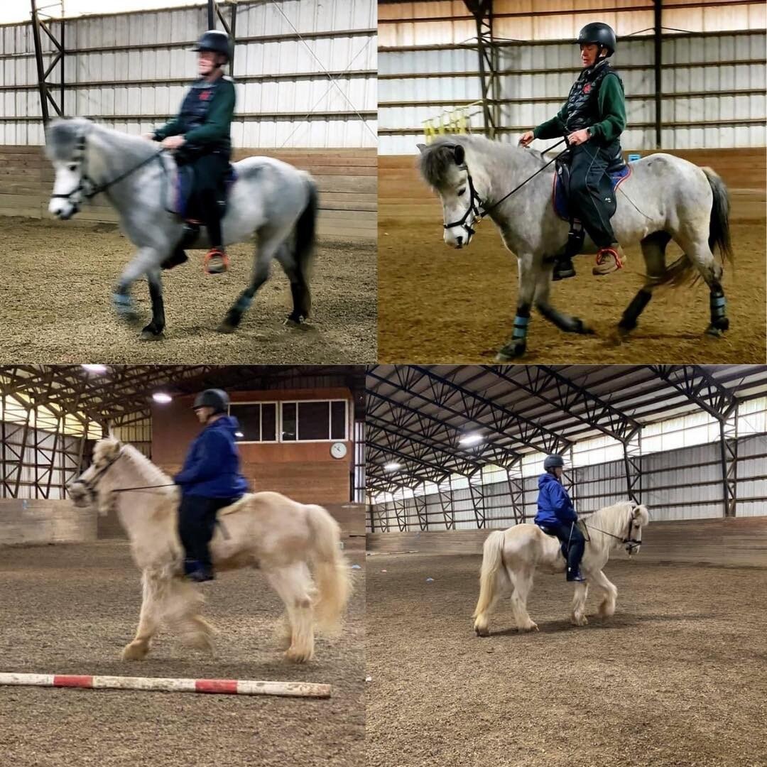#wow look at these transformations from some of our Healthy Horse Dressage clinic members! Such a great example of how dressage exercise and principles can promote healthy movement and posture. Some fabulous work and progress for Linda and Lori! Keep
