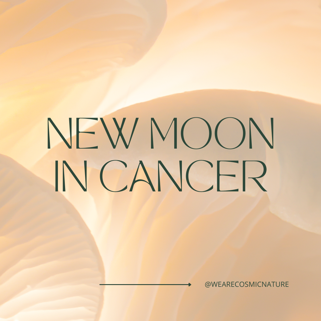 NEW MOON IN CANCER| JUN 29