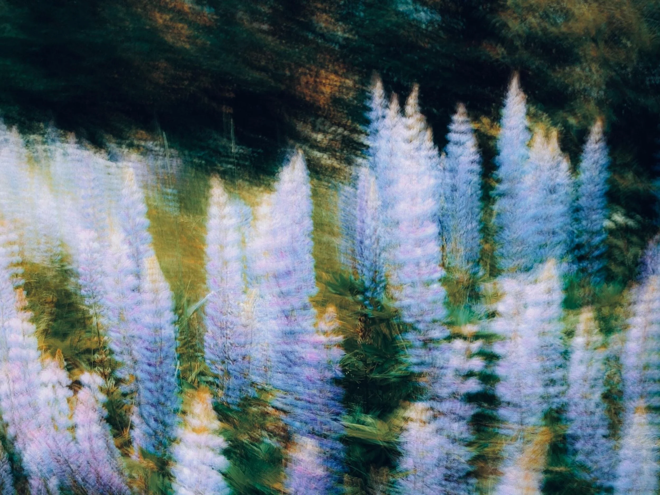 FULL MOON IN PISCES | BONUS TIPS