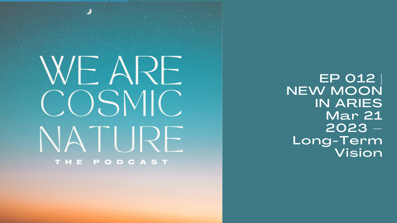 EP 012 | NEW MOON IN ARIES Mar 21 2023 – Long-Term Vision