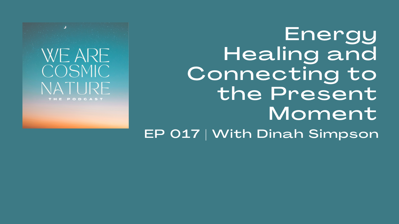 EP 019 | Holistic Living Benefits and Practises with Erica Victoria Costa