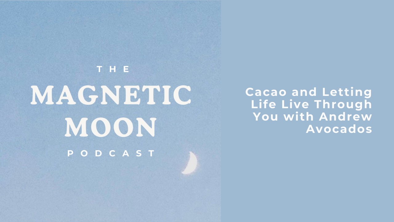 Energy Tools To Shape Your Path in 2026 with Dinah Simpson