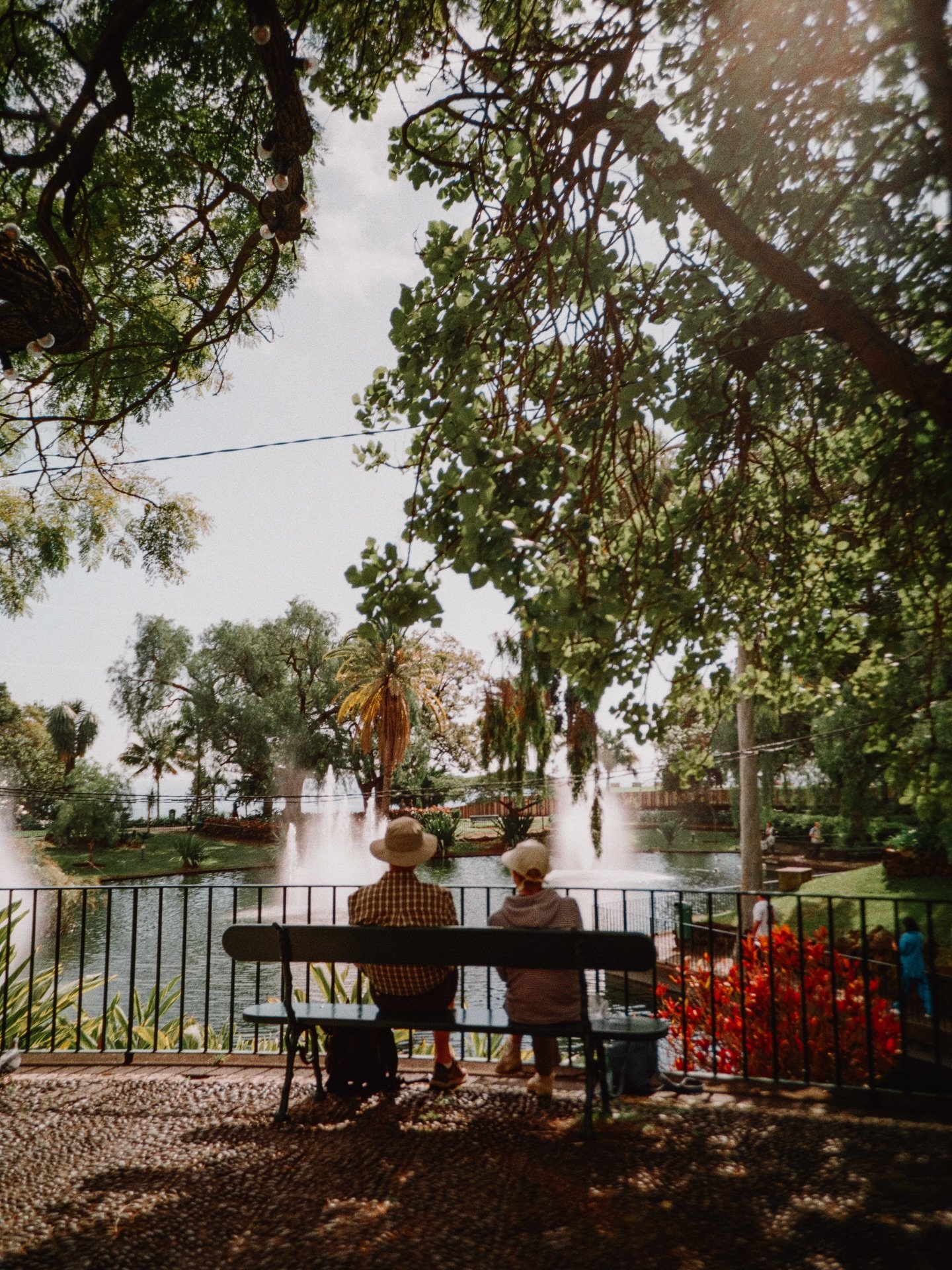 Some 35mm film photos from our month away in Madeira 🌿 the best cure for January blues. Too many to share but here is a selection, which is your favourite?