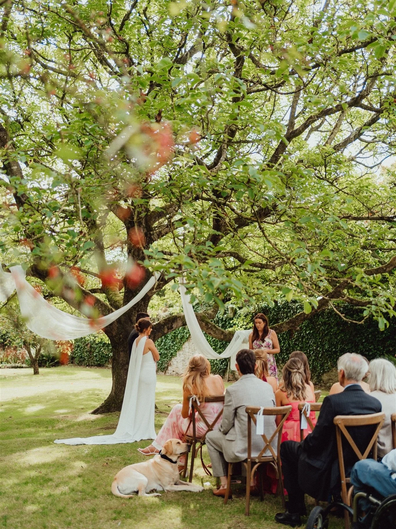 Ceremony moments at @treserencornwall 

Photography: Josie from @emilystevephoto team
Hair: @melody_hair_weddings 
Venue: @treserencornwall 
Dress: @perfectdaybride @sewstudio_ 
Ring: @le.mela