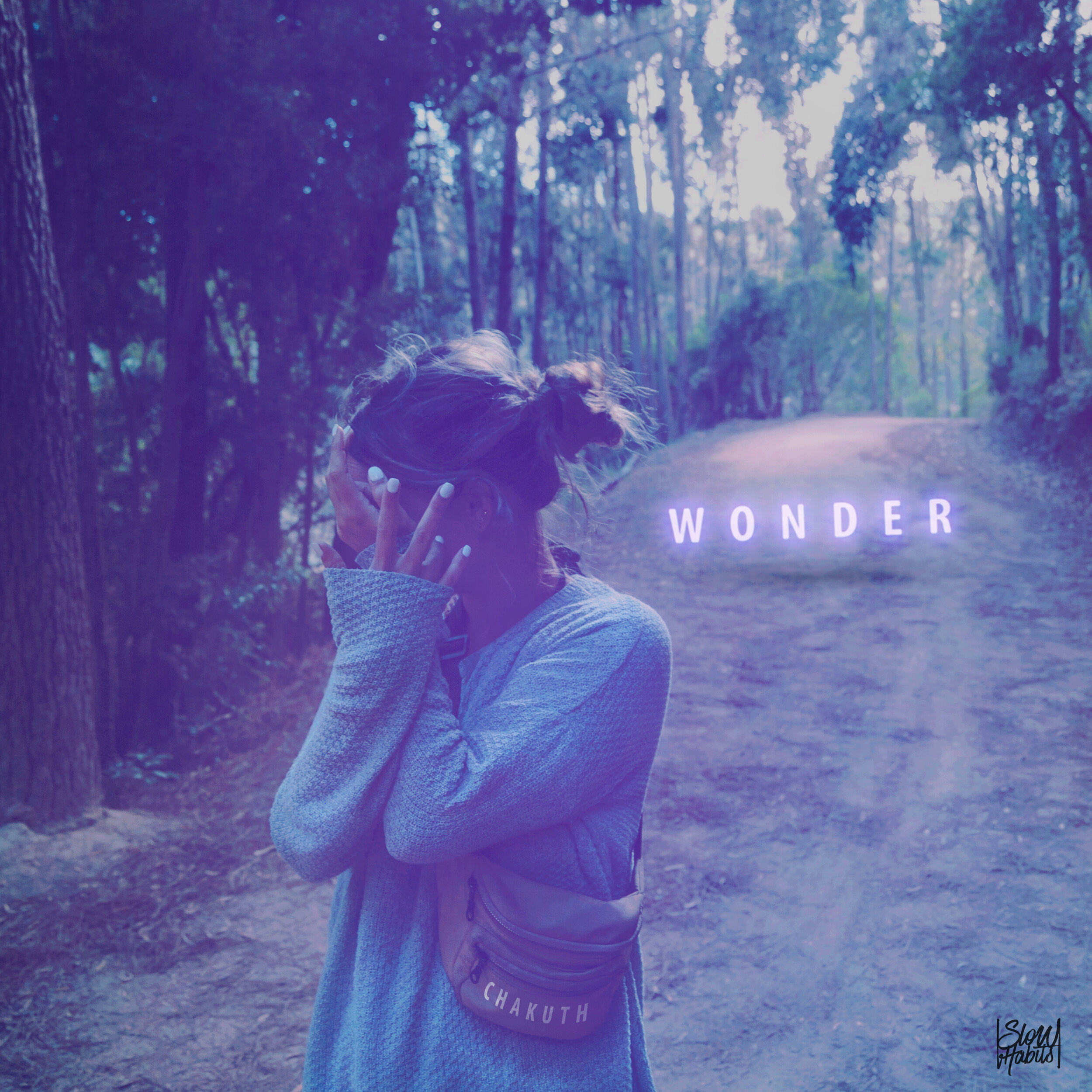 wonder-(cover-square-artwork).jpg