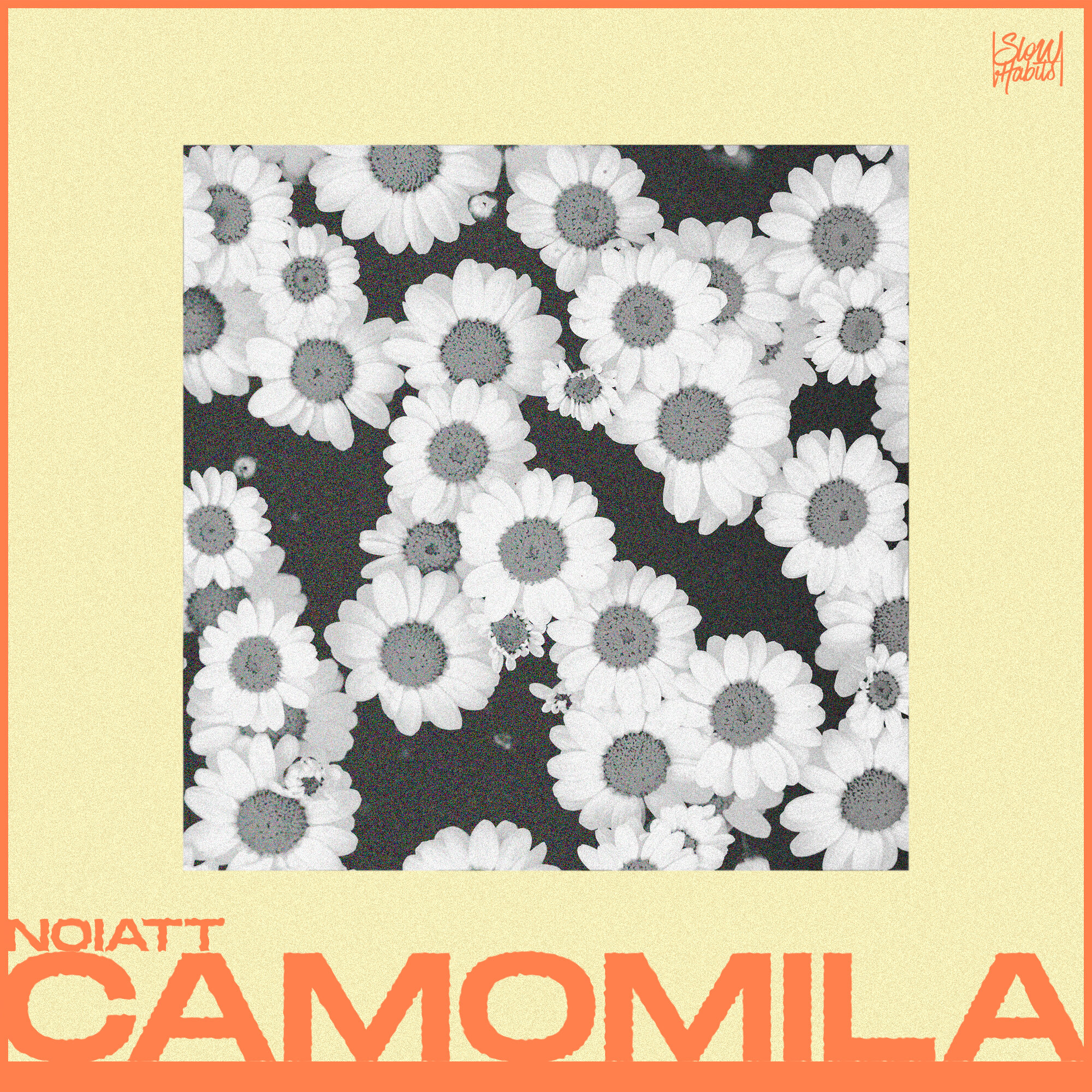 Noiatt---Camomila-[FRONT-COVER].jpg