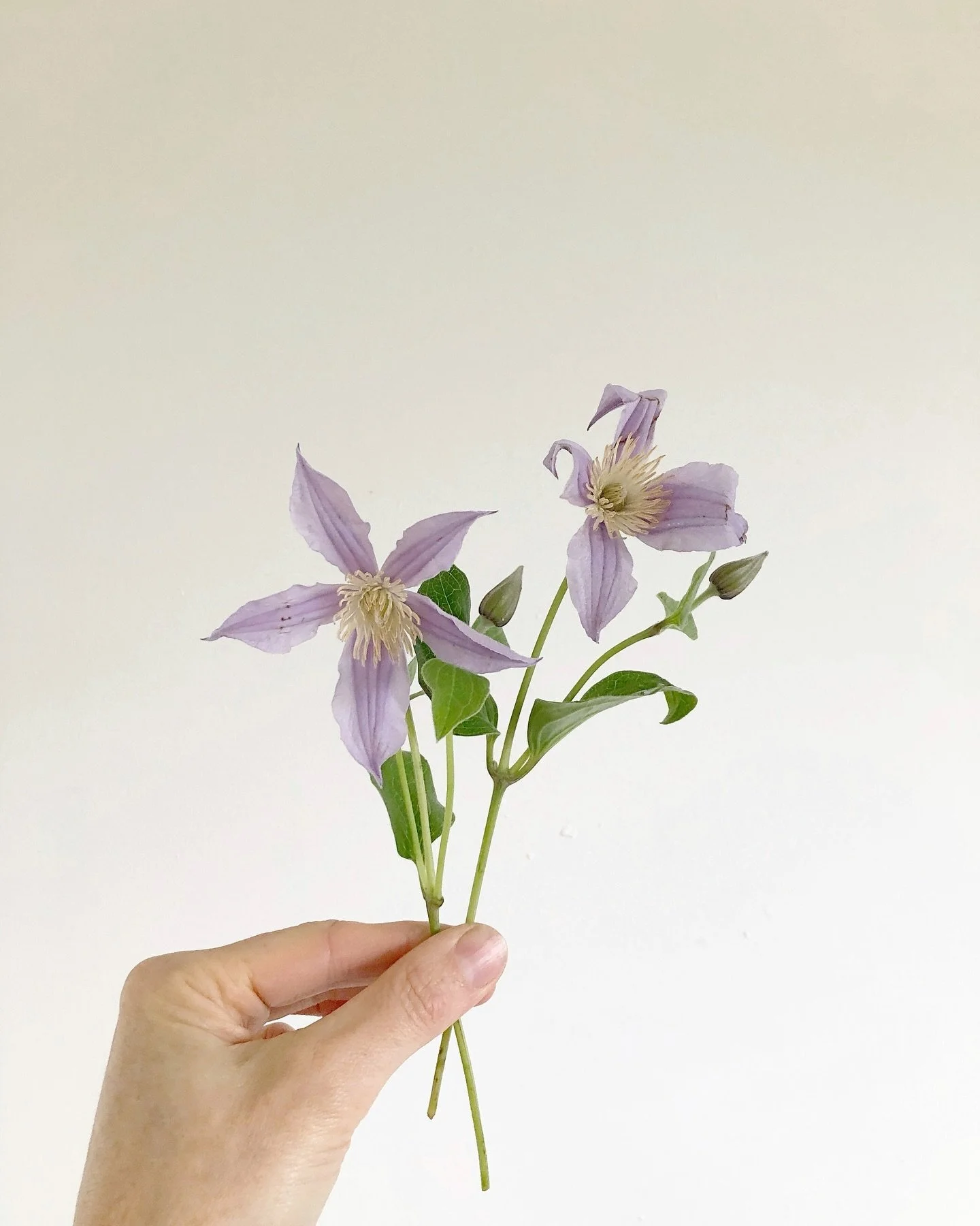The perfect purple ✨✨✨