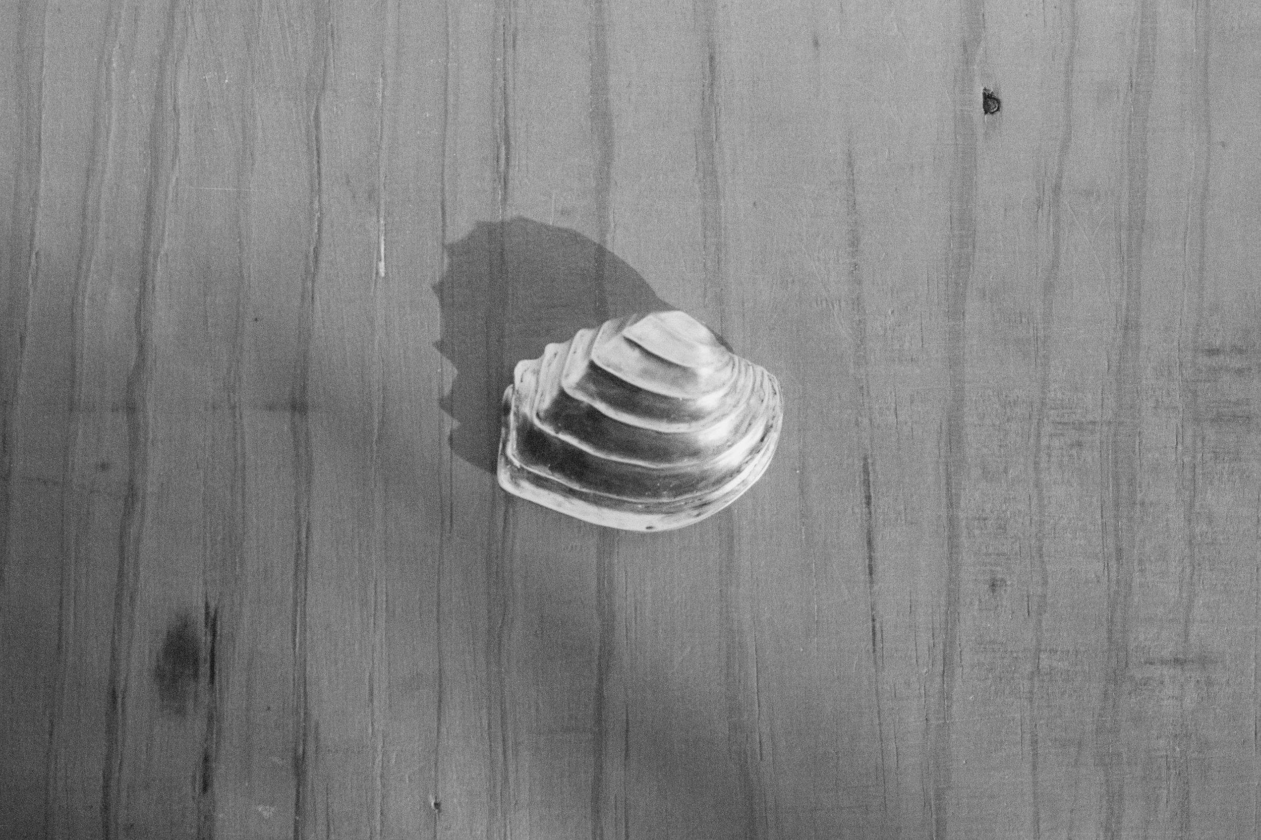 Untitled - 1 of 1.jpeg
