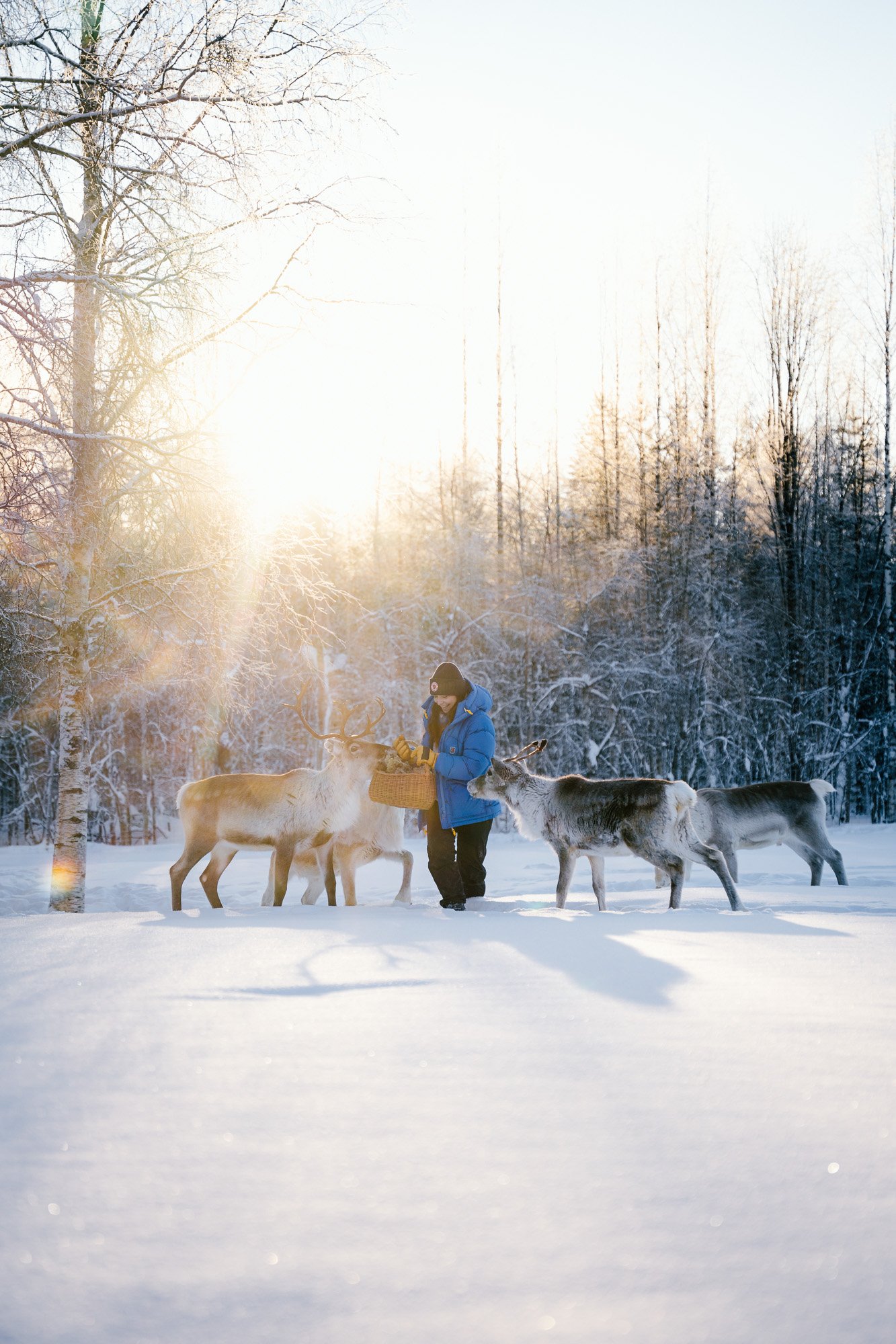 Arctic Lakeland Kainuu_Winter_February_Web res_18.2.2024©Sami Laitinen-8.jpg