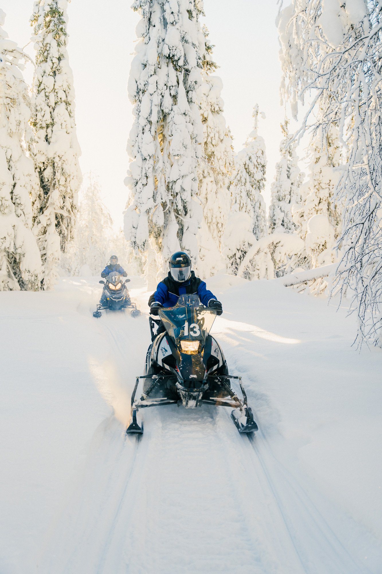 Snowmobiling in Finnish Lapland among snow covered and high trees©Sami Laitinen.jpg