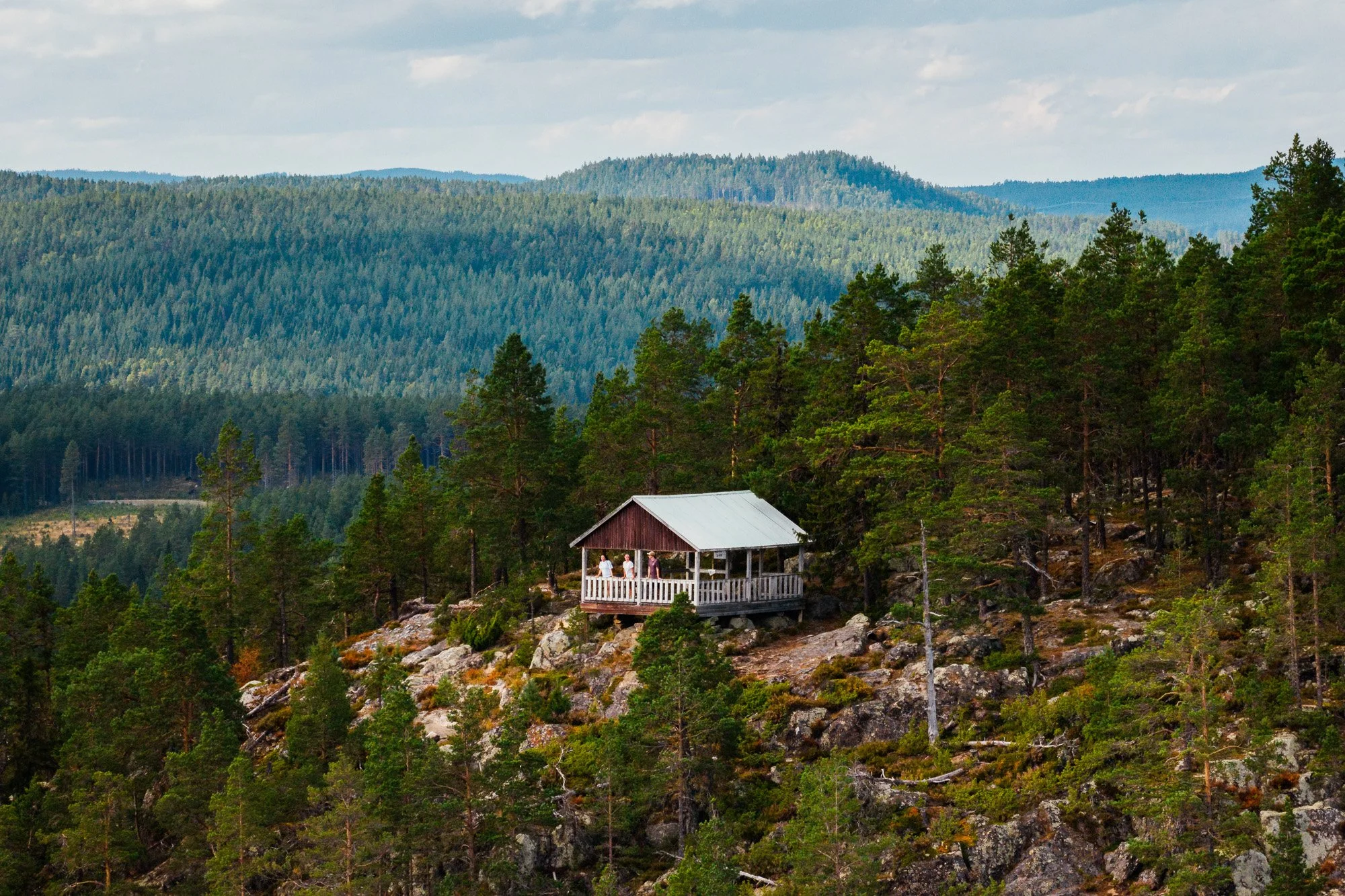 hoga-kusten-viewpoint-shelter-forest-landscape-nature-summer-©Filved Agency Sami Laitinen.jpg