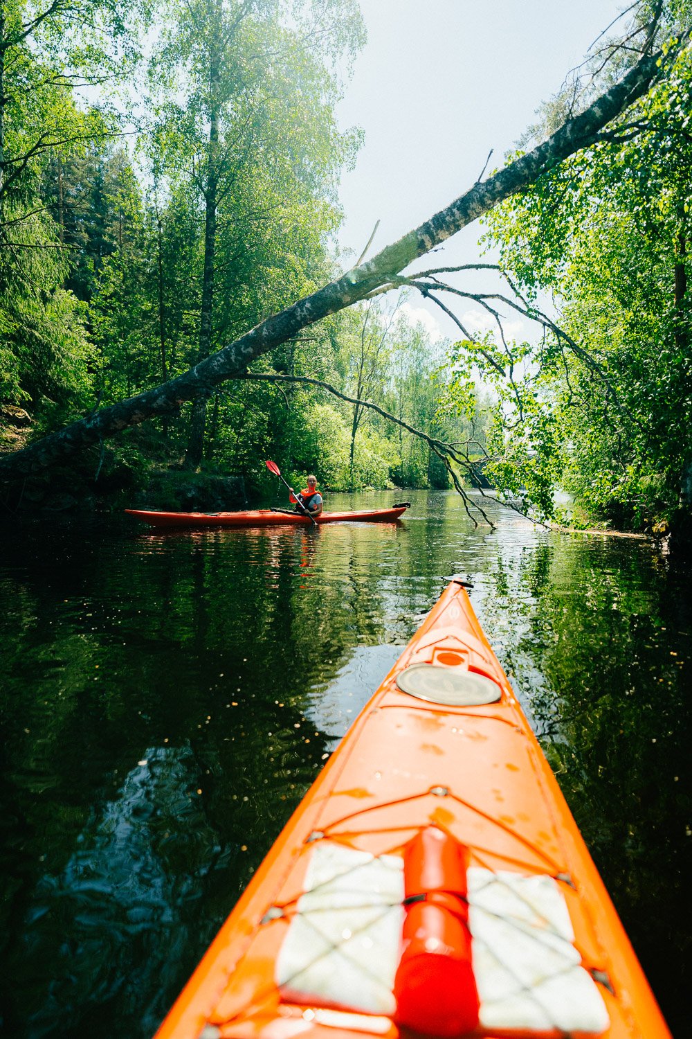 Kayaking_Advenutre_Jungle_Viidakko_Suomi_Kesä_Vihreä_Kajakki©Sami Laitinen.jpg