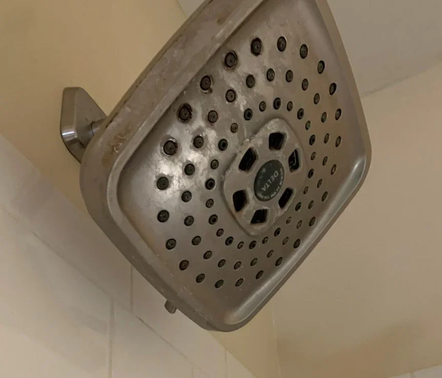 dirtyshowerhead.webp