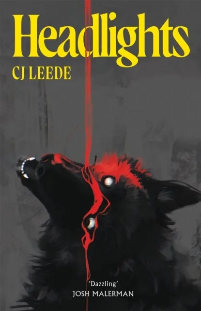 Headlights by CJ Leede
