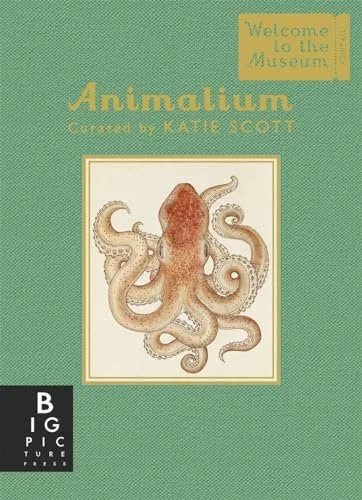 Animalium by Jenny Broom
