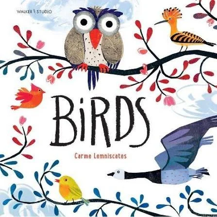 Birds by Carme Lemniscates