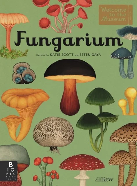 Fungarium by Ester Gaya