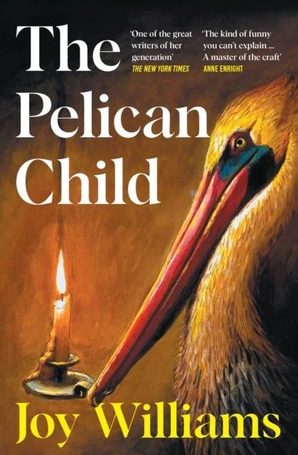 The Pelican Child by Joy Williams