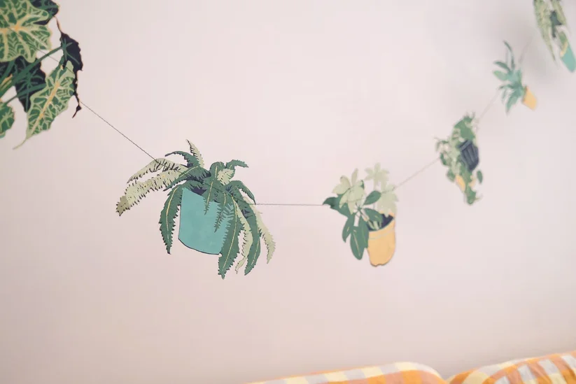 DSCF4174.webp