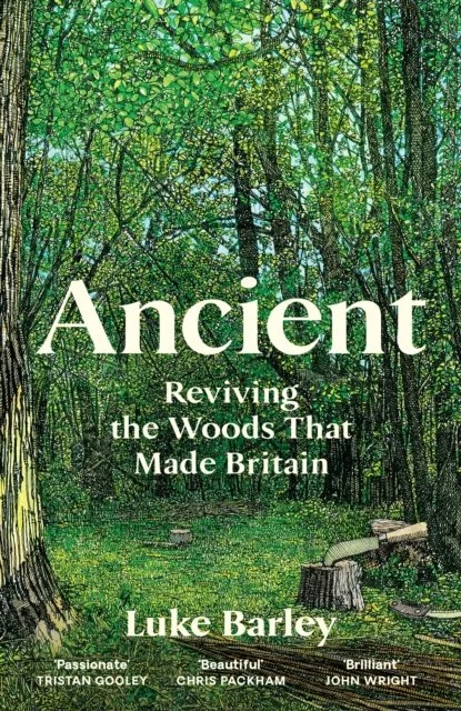 Ancient: Reviving the Woods That Made Britain by Luke Barley