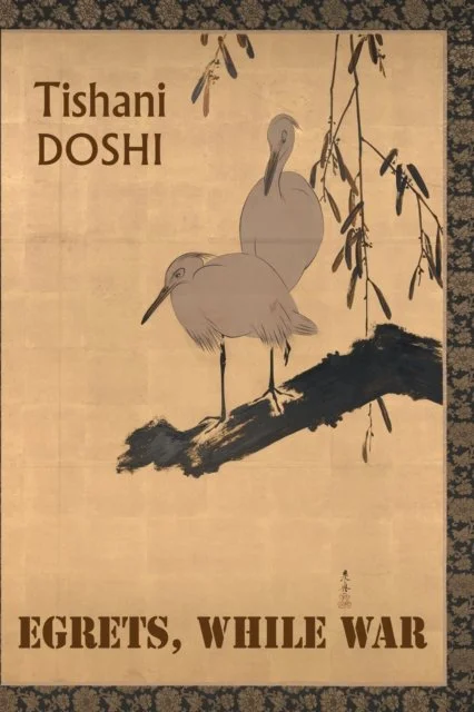 Egrets, While War by Tishani Doshi