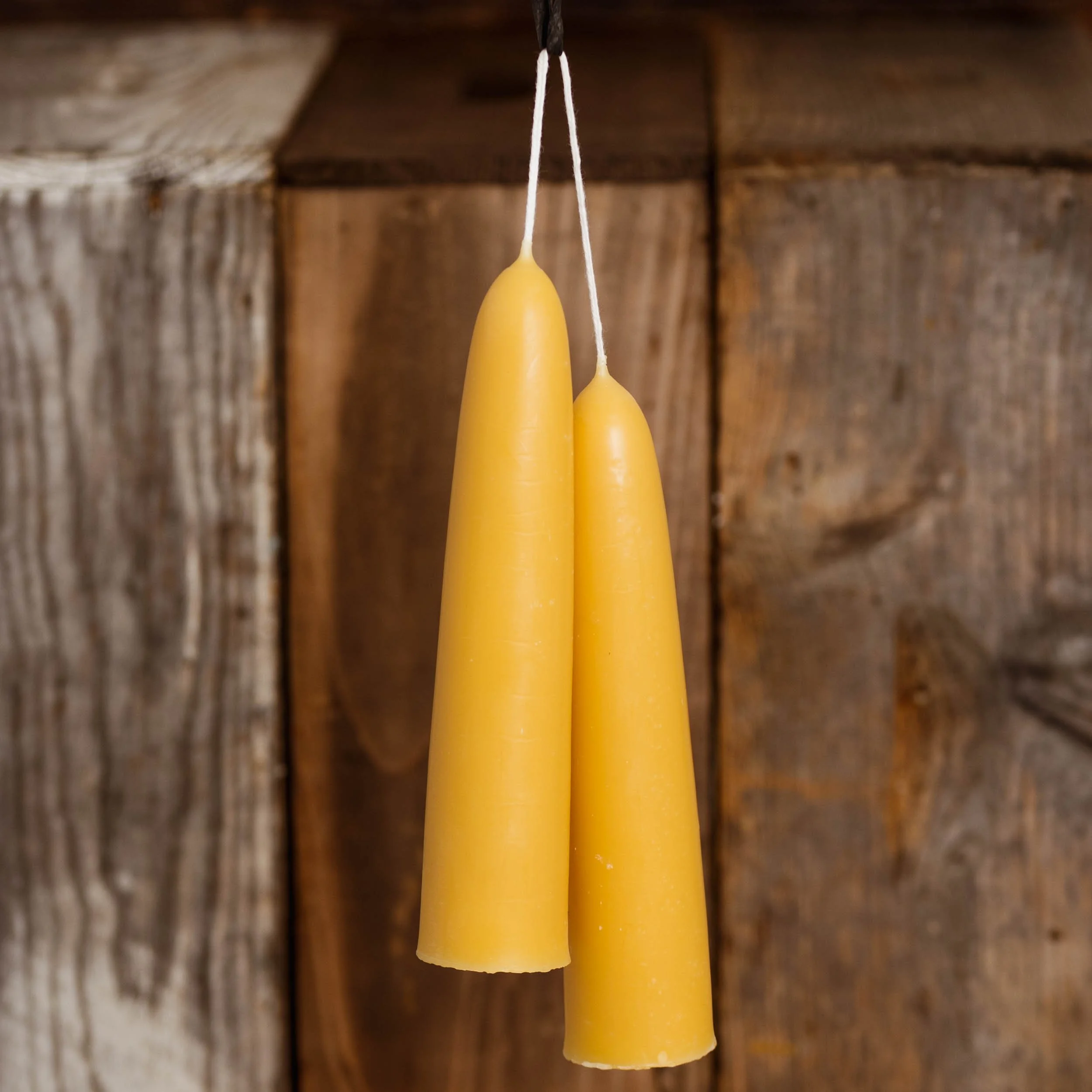 Chain Bridge Honey Farm 100% Natural Beeswax Dipped Candles (Giant Stubby, pair)