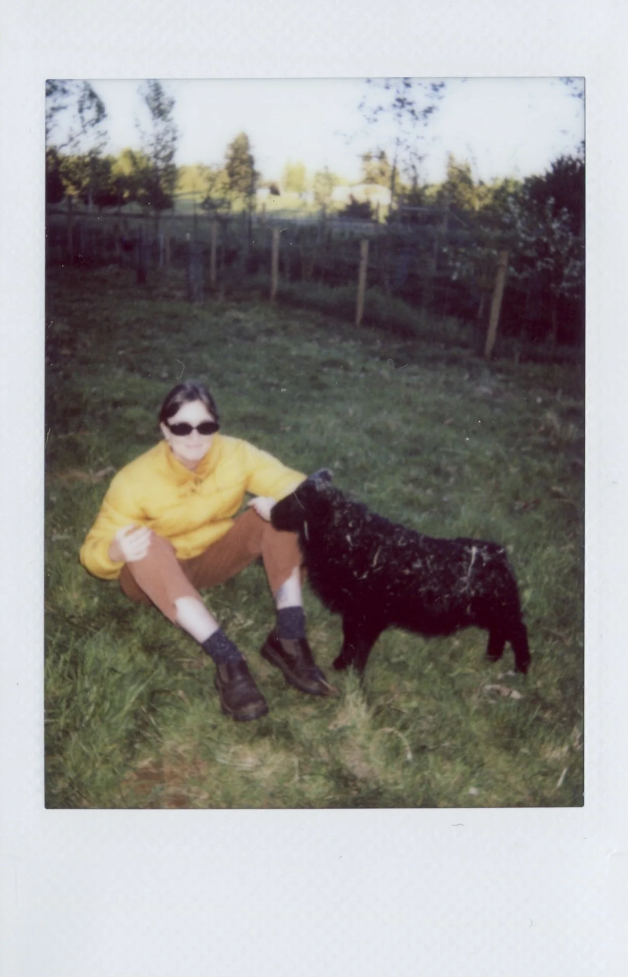 Scan 6.jpg
