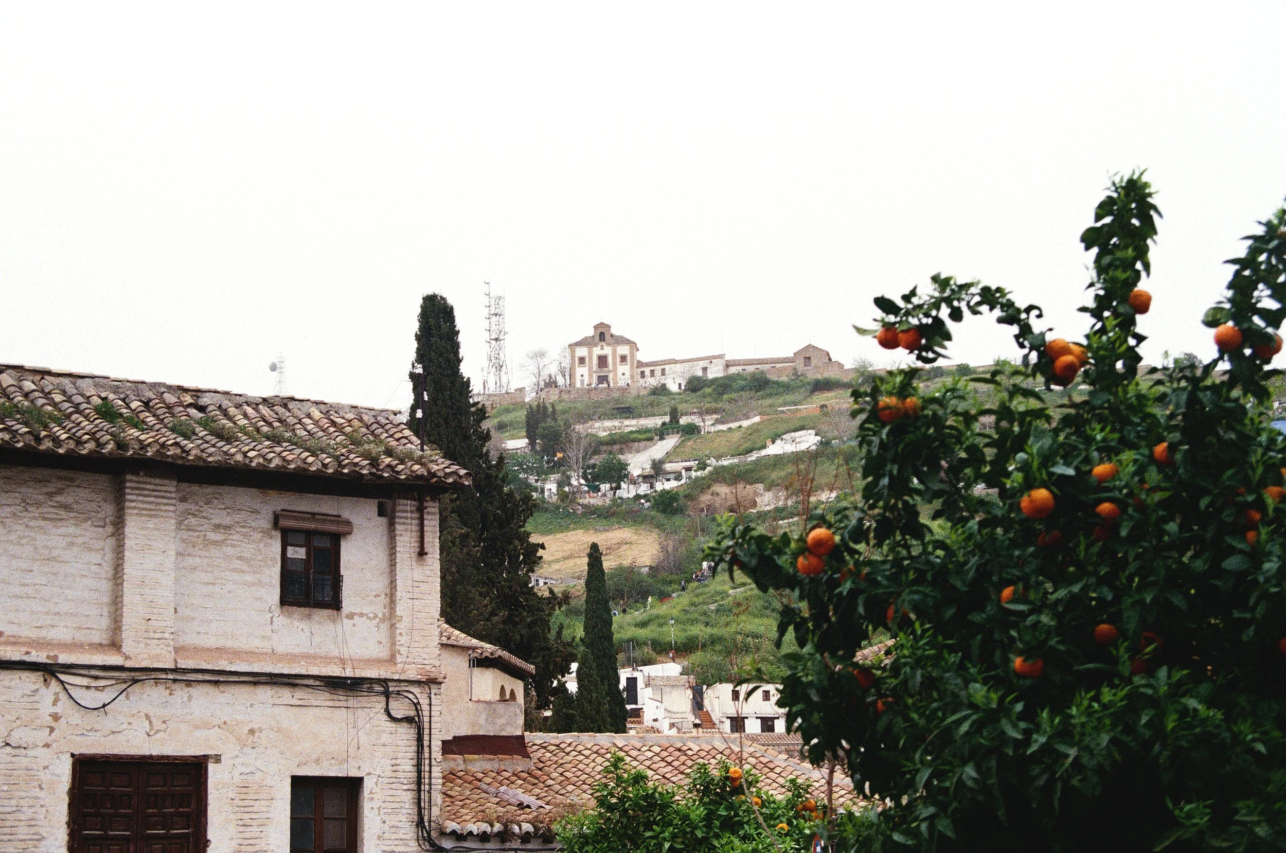 1241_24.jpg