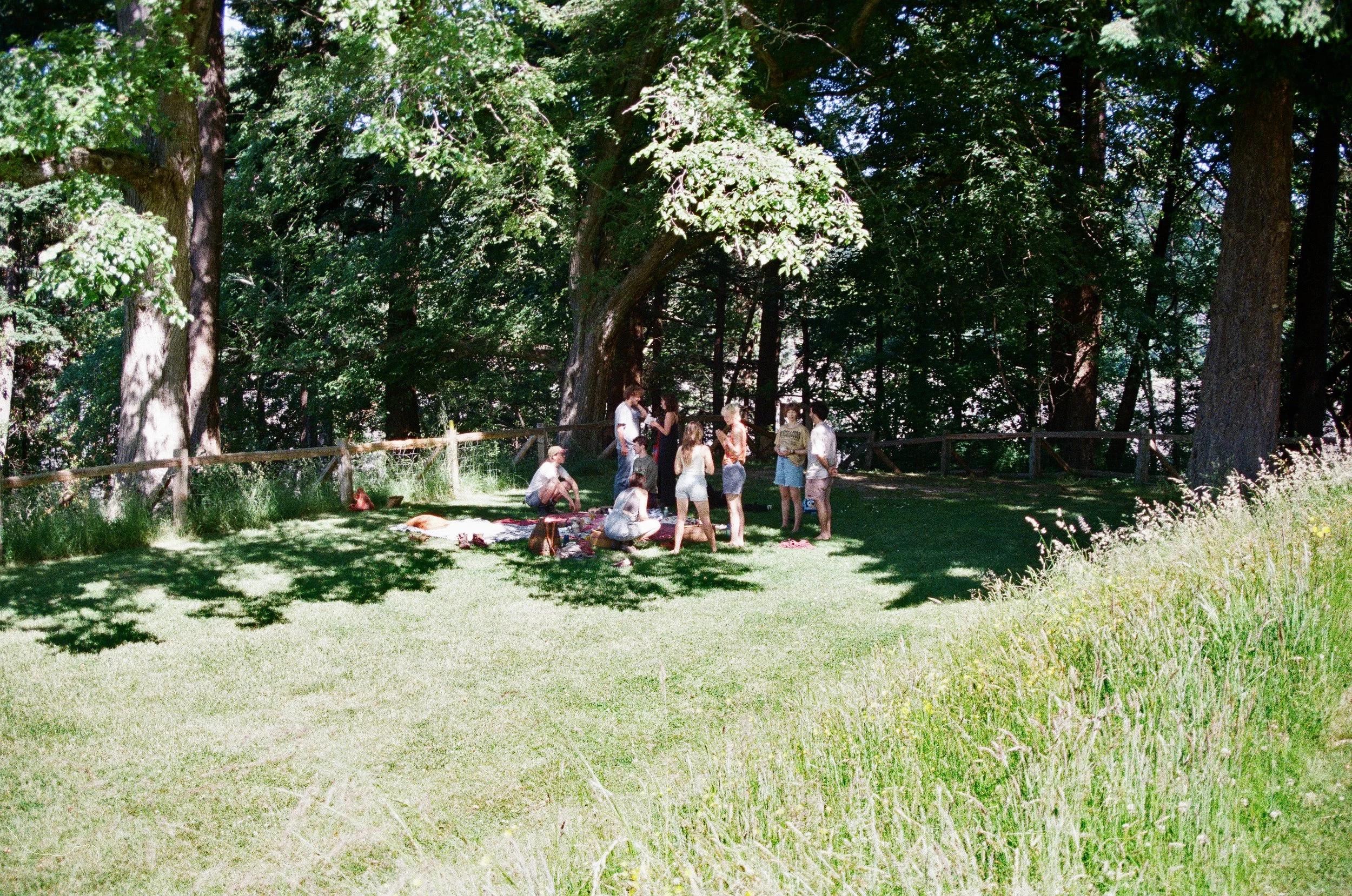 1240_03.jpg